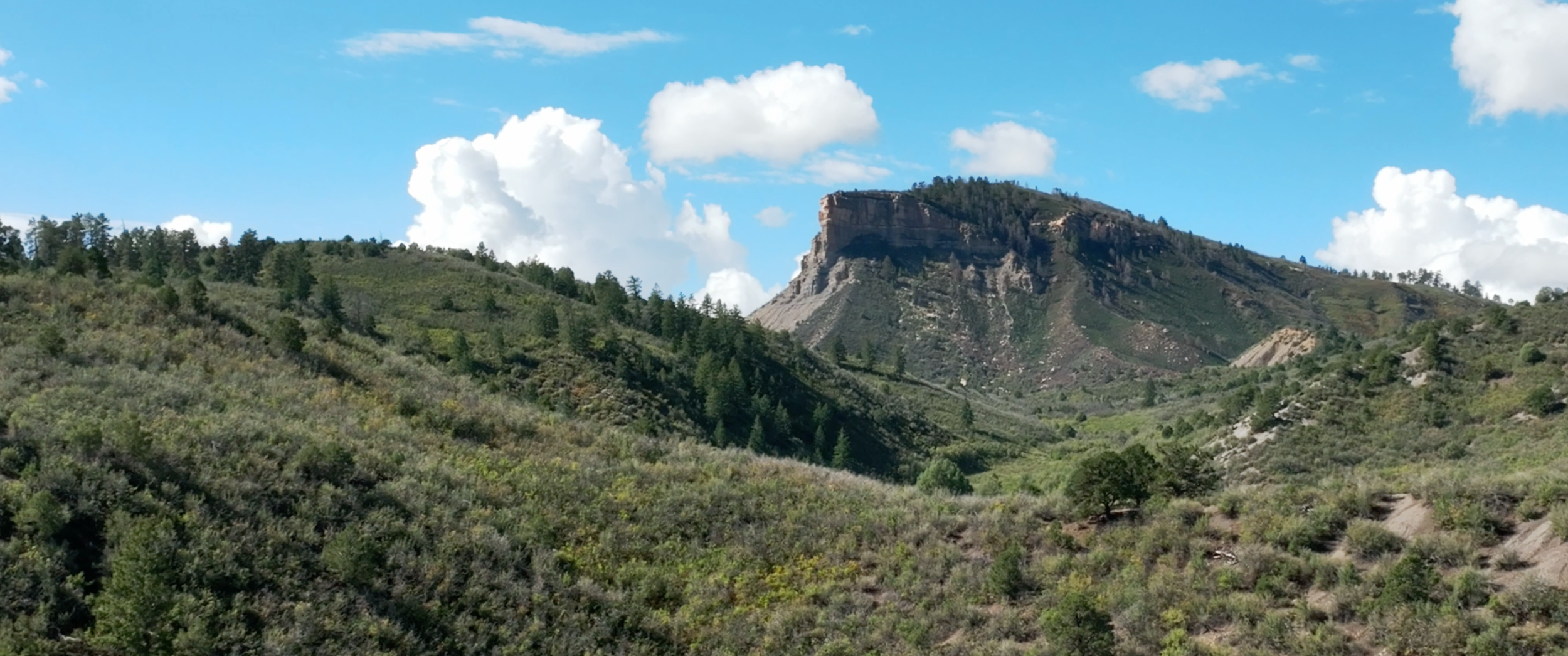 DURANGO ASSOCIATION & ACCOUNTING SERVICES