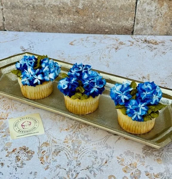 MD Blue Hydrangeas.jpg