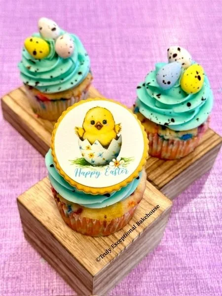 Baby Chick Cupcake.jpg