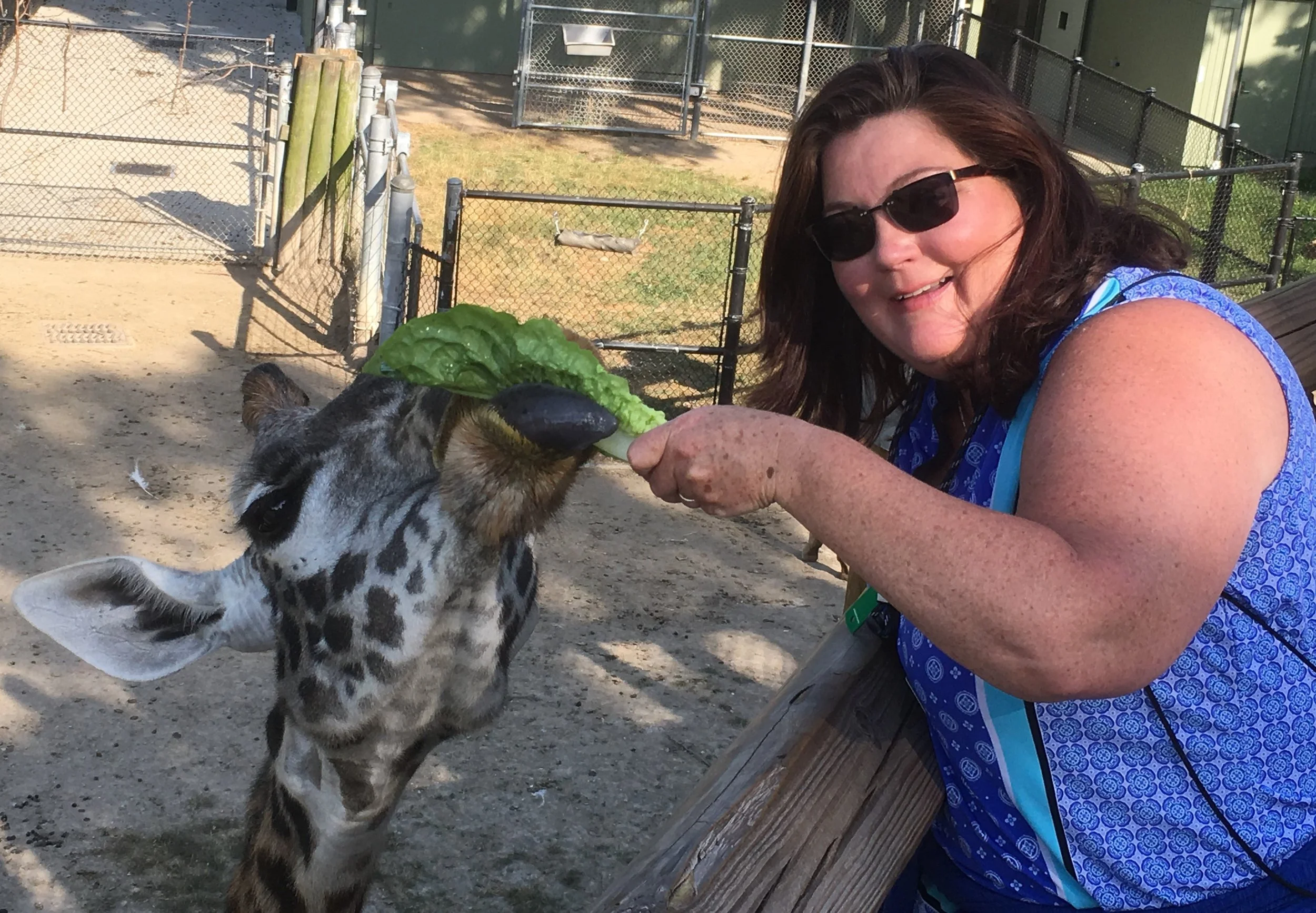 Zoo - 2017 Giraffe & Mon.JPG
