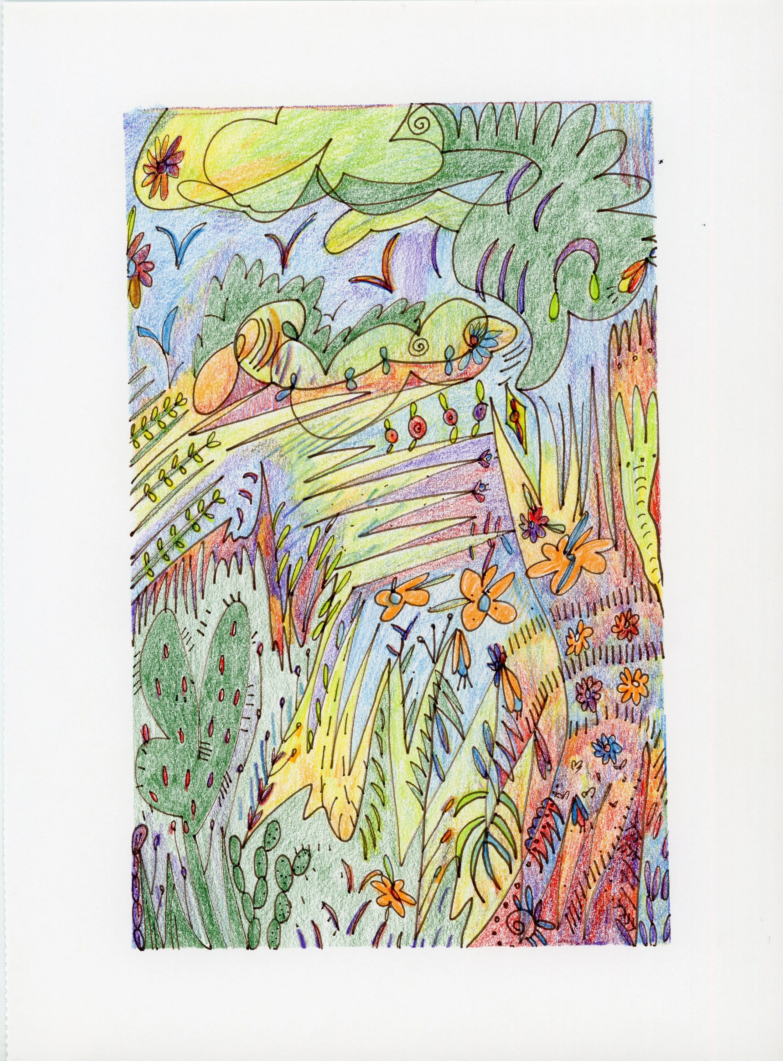 rainbow landscape.jpg