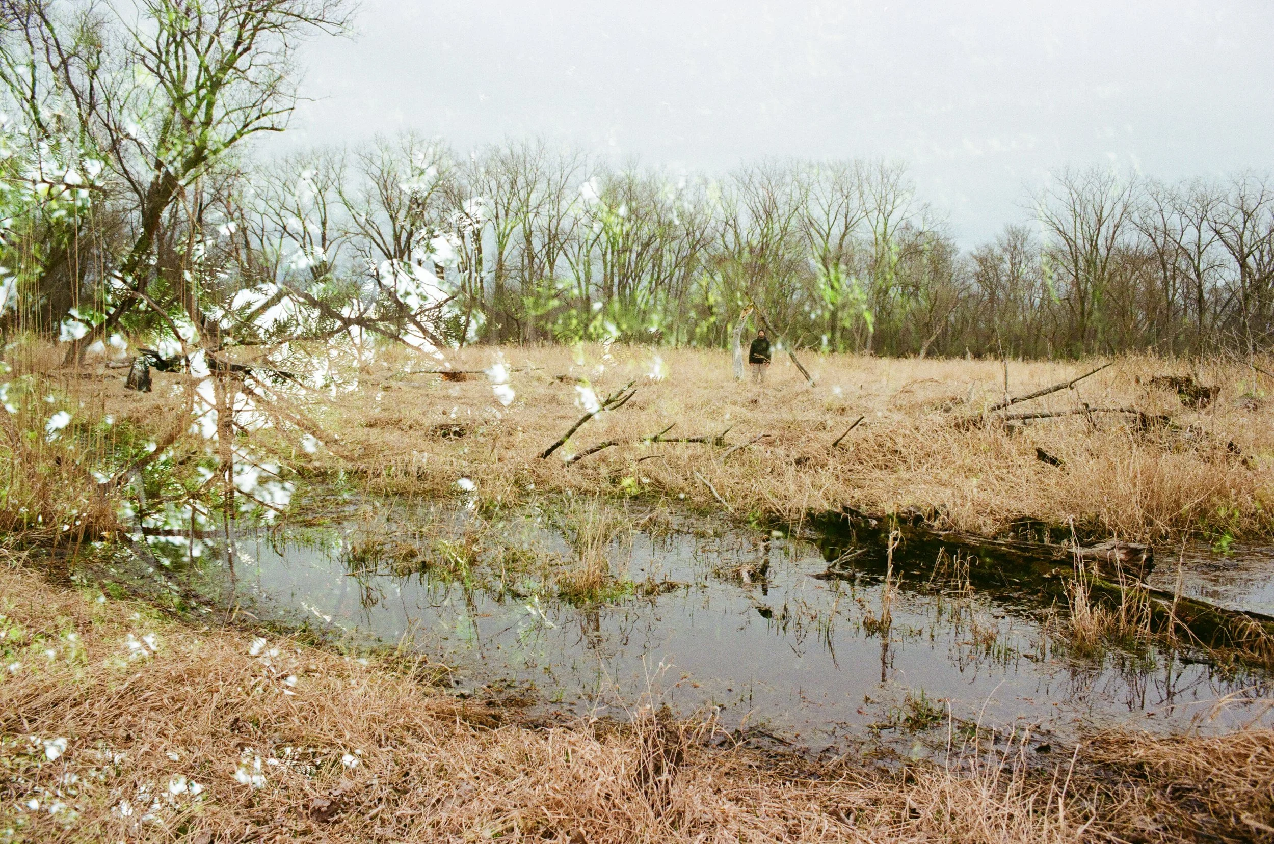 portals (to another time)