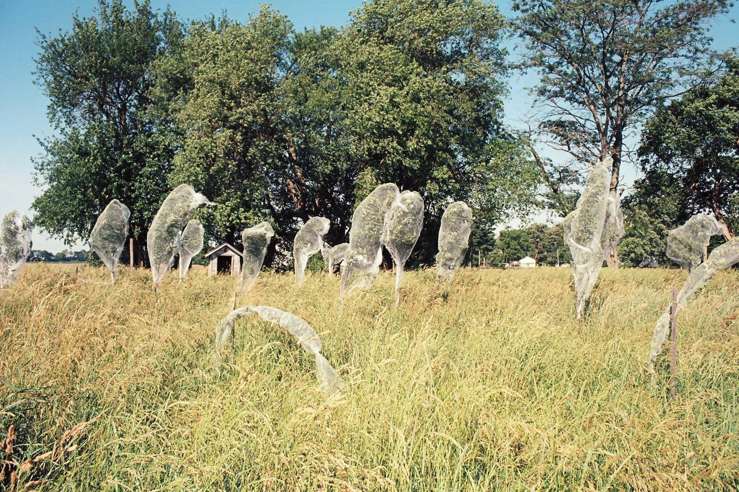 r001-015.jpg