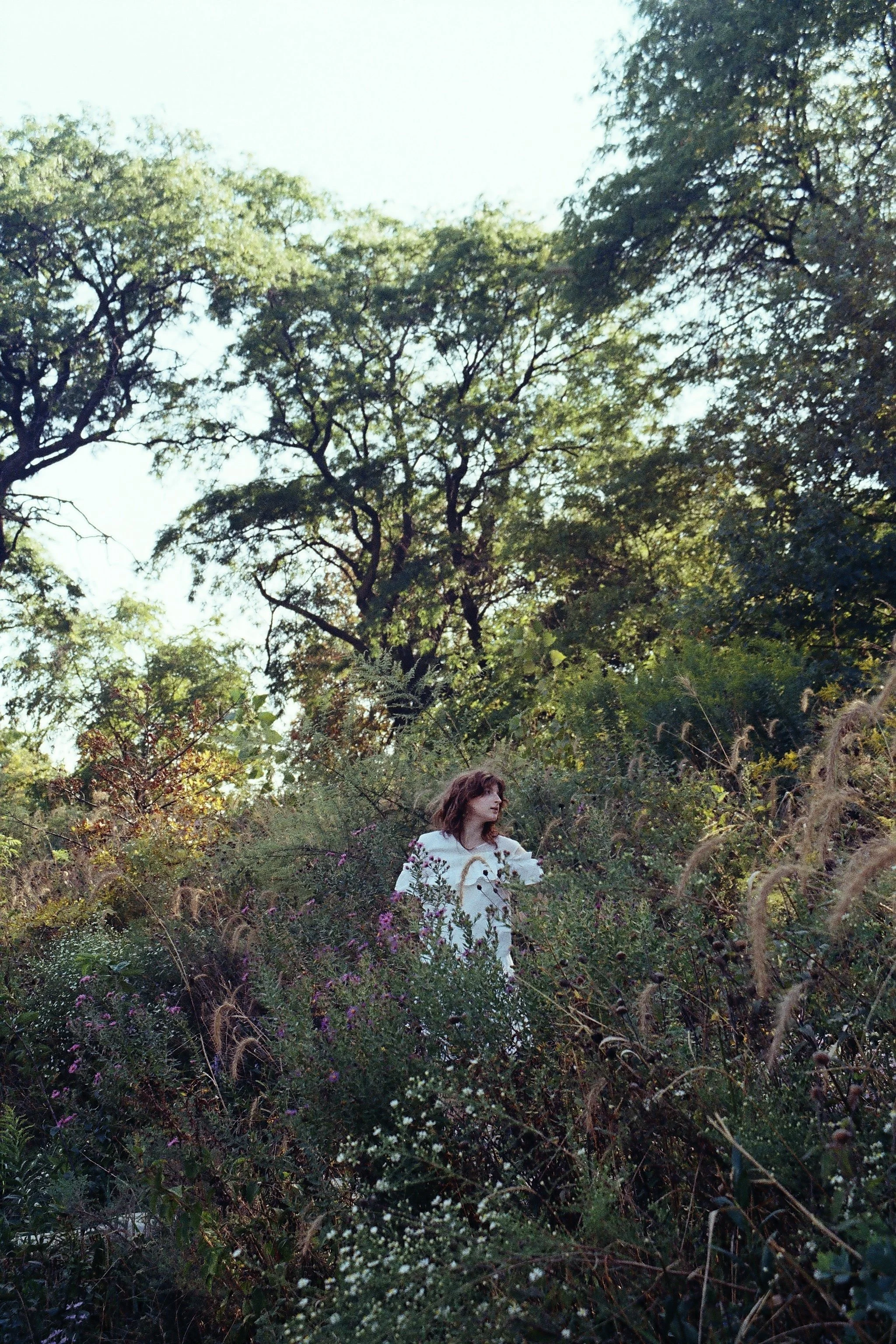 r001-003.jpg