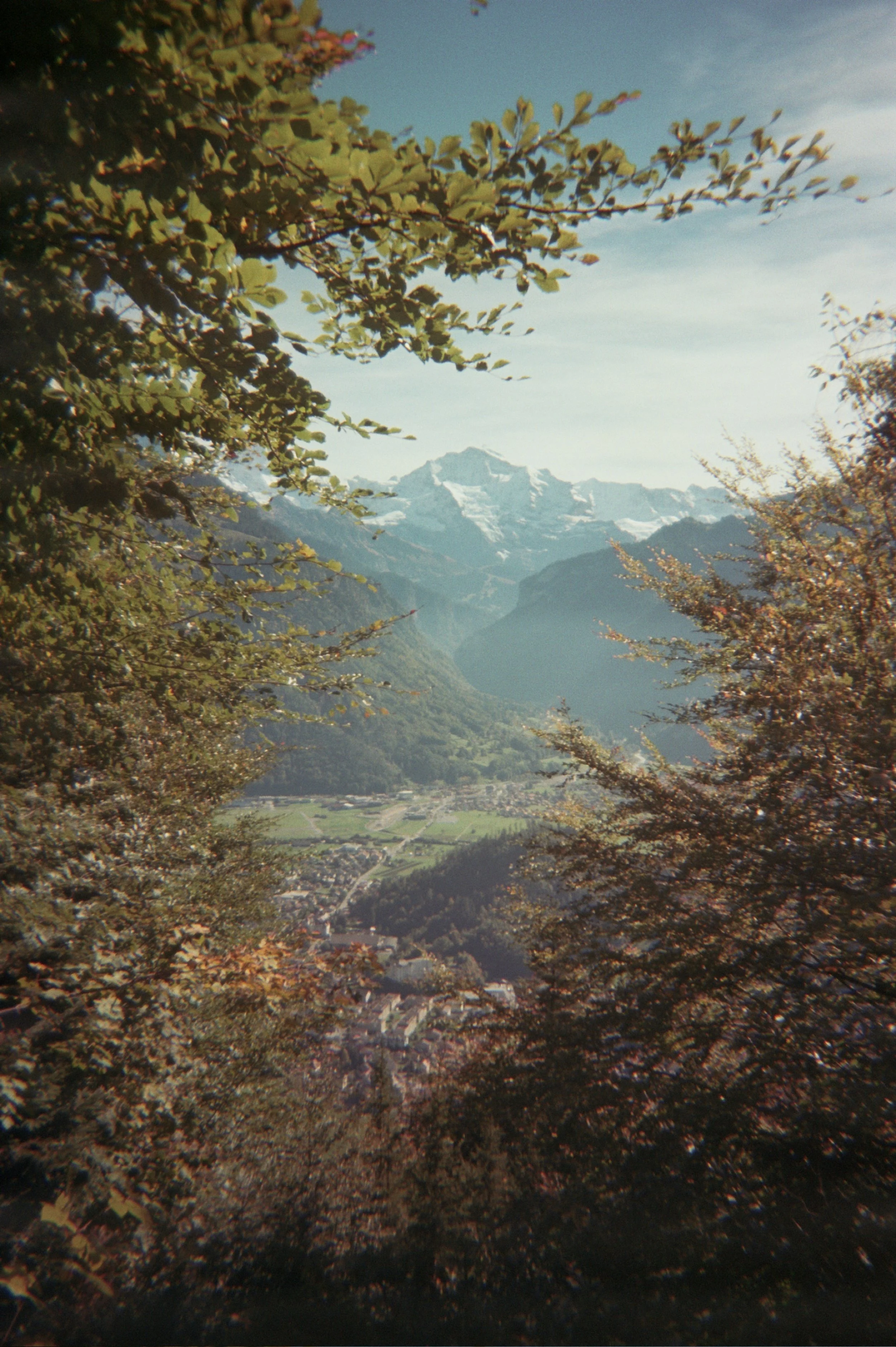 ---_0094.jpg
