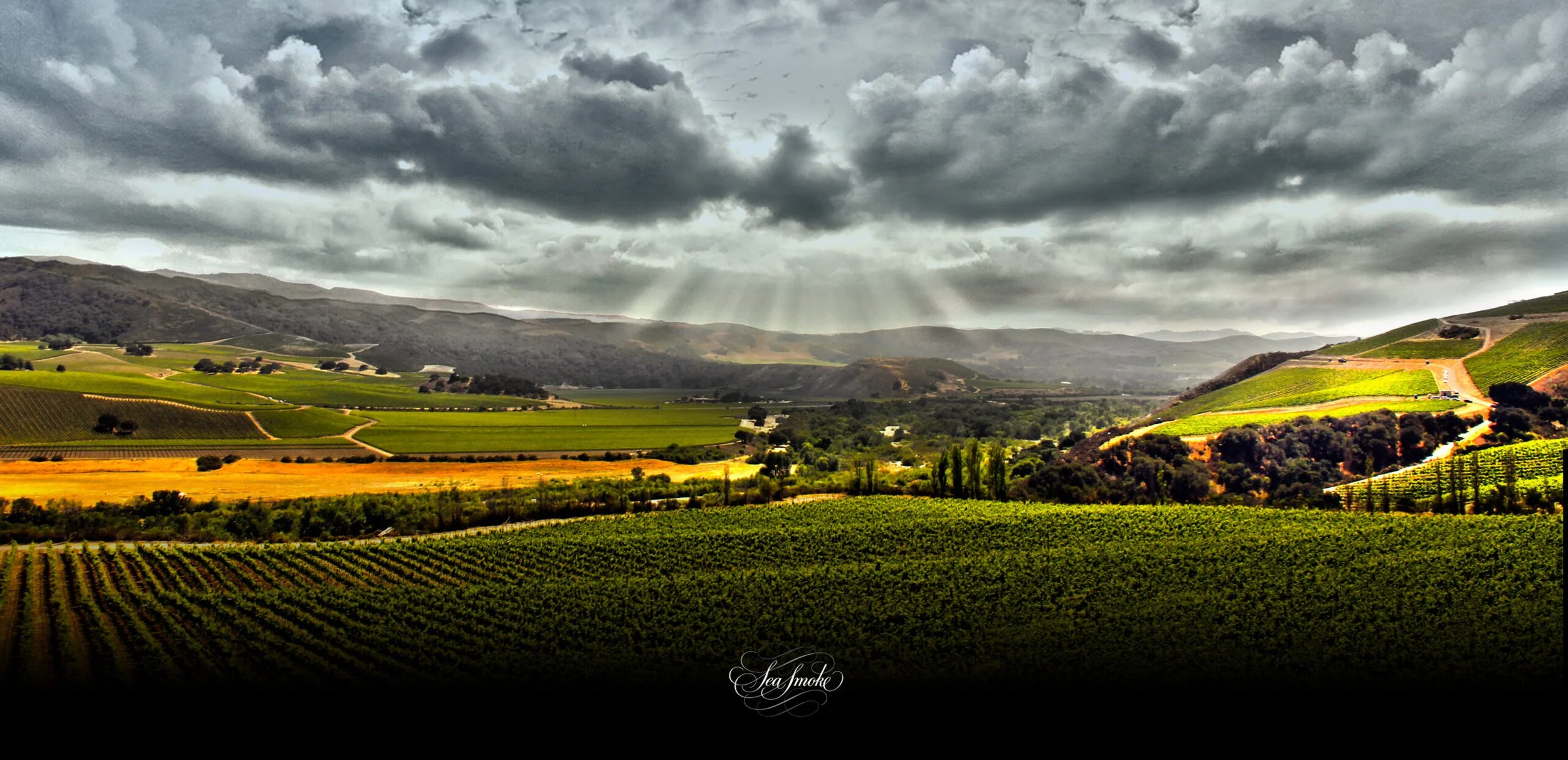 sea smoke vineyard