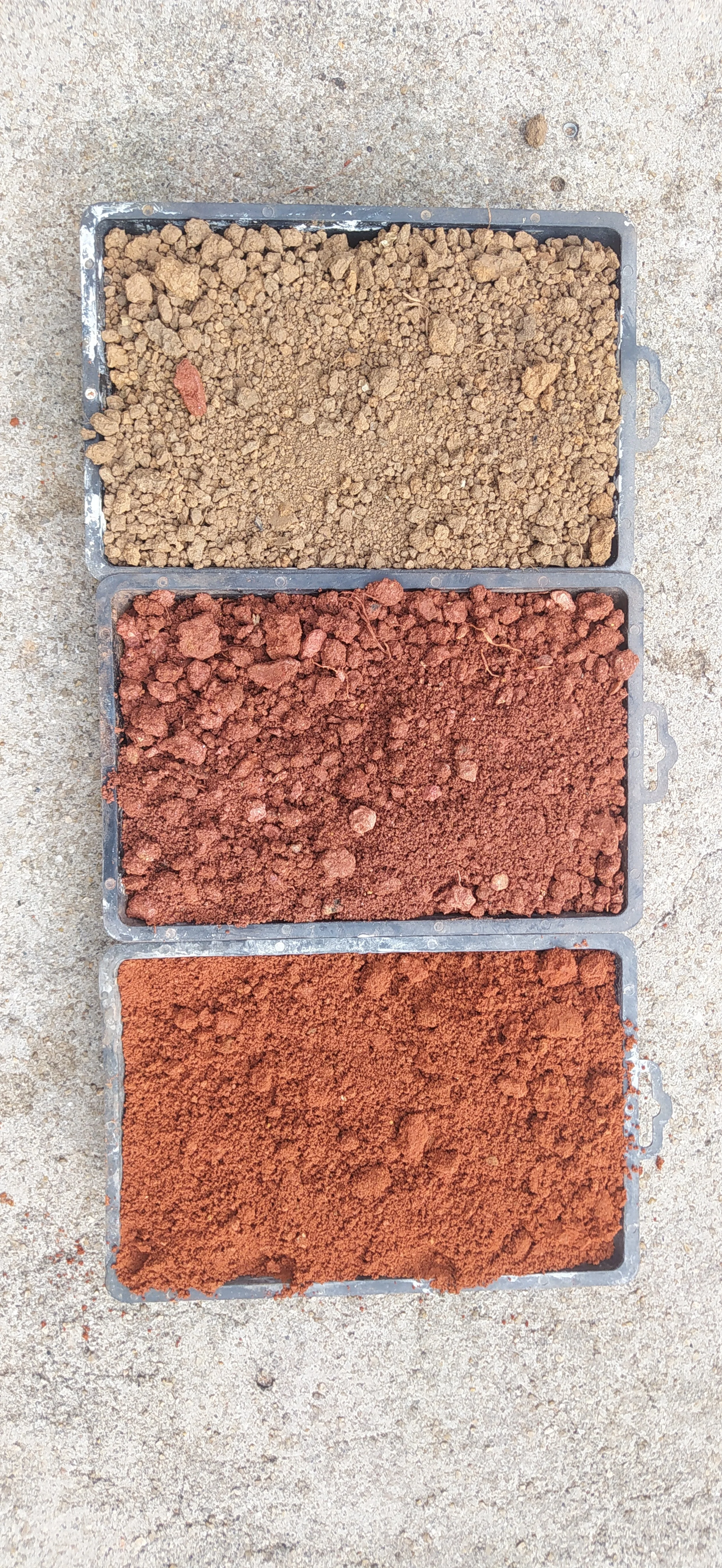 carazas FAUSP (3).jpg