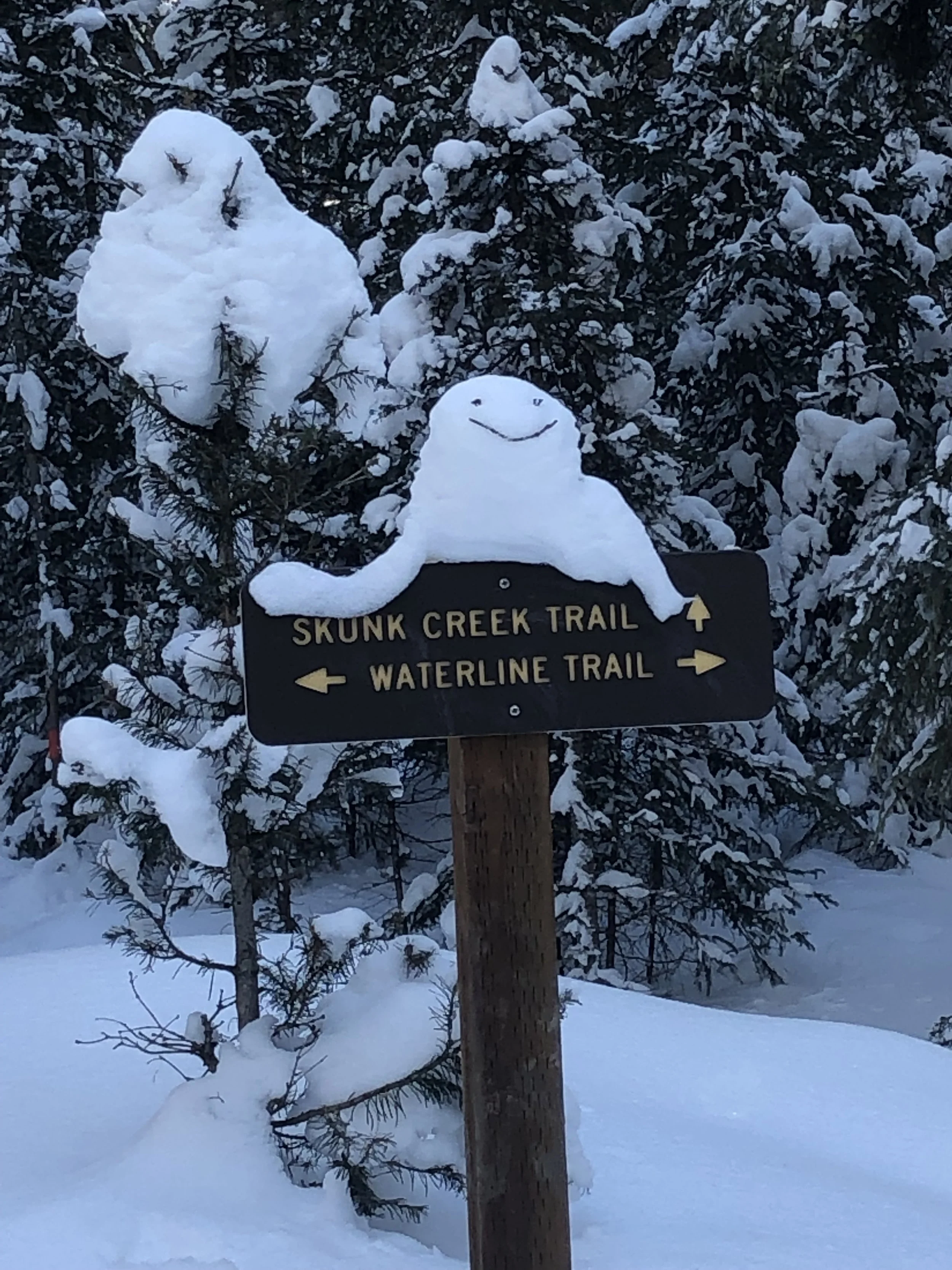 Ski Ranches 2026 Annual Meeting