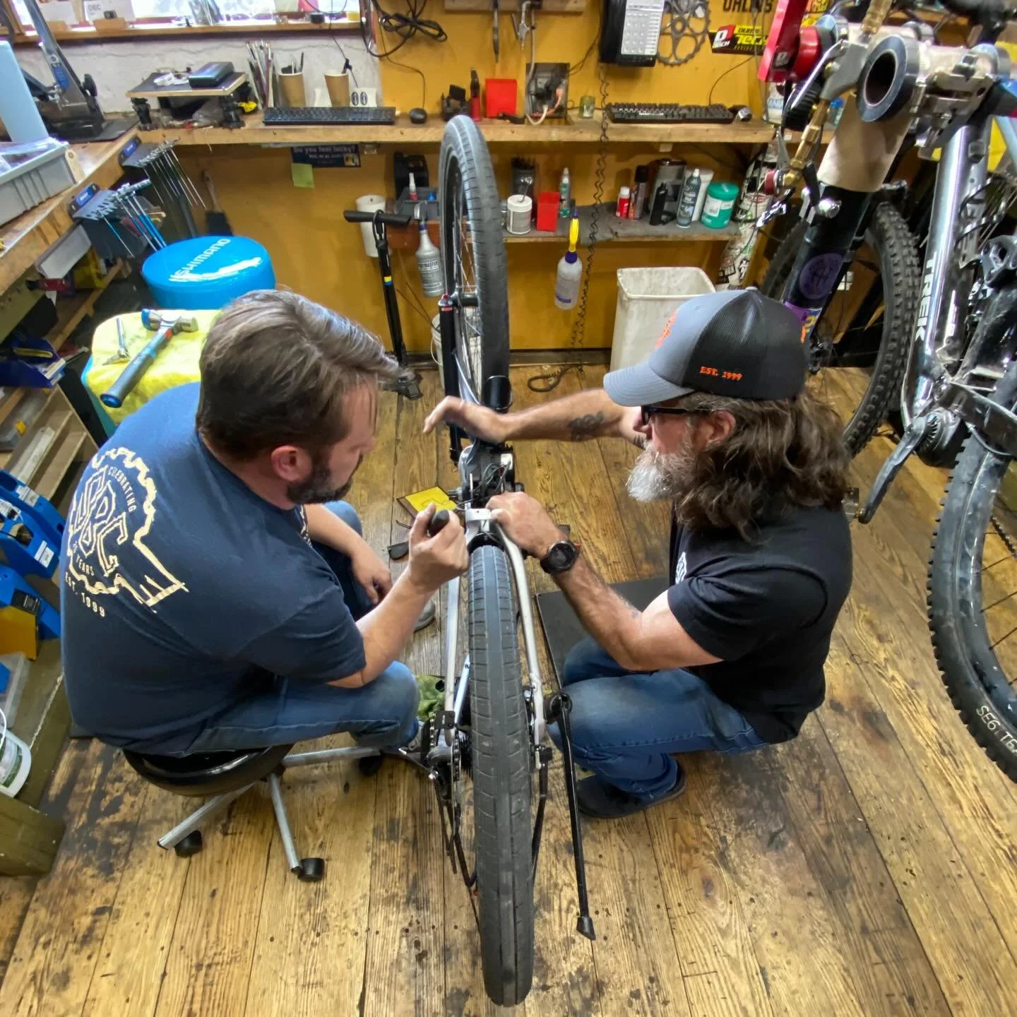 Teamwork makes the dreamwork