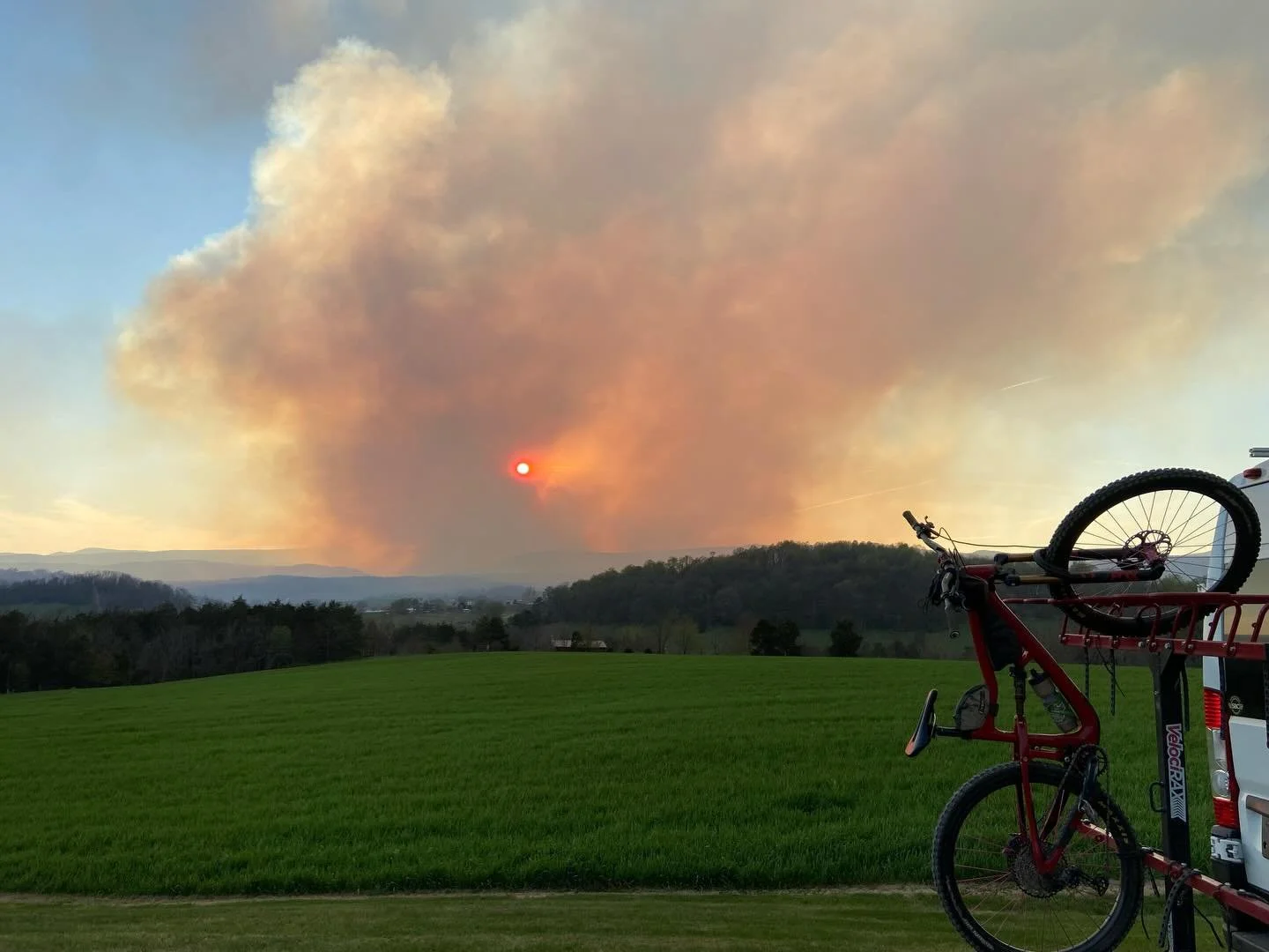 The beauty of the burn 🔥 🌳