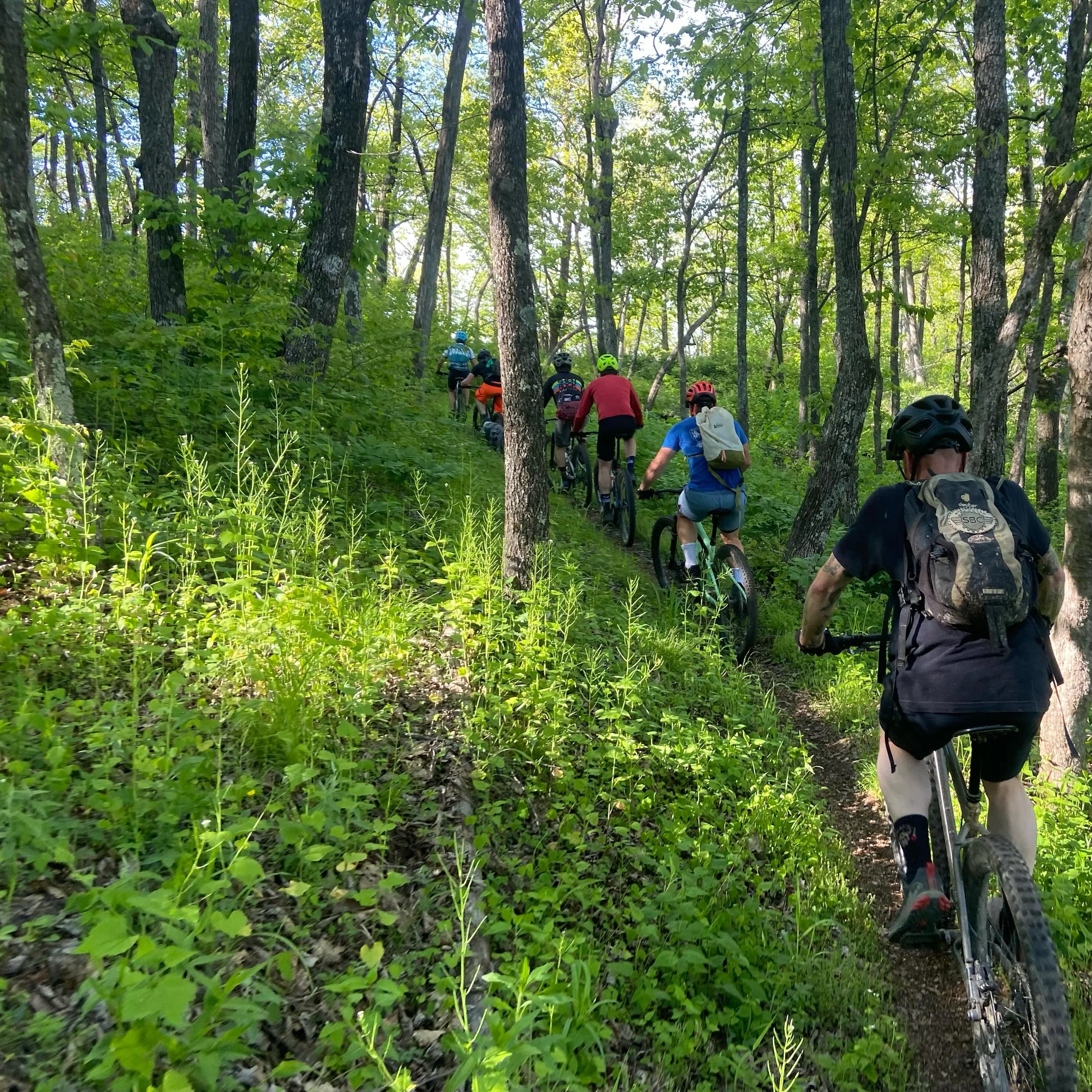 Y&rsquo;all, we needs to talk. Have you been out riding in the national forest in the past few weeks? It is SOOO green out there right now! And with this rain the mountain laurel is starting to explode! The colors and the trails are A-mazing&hellip;n