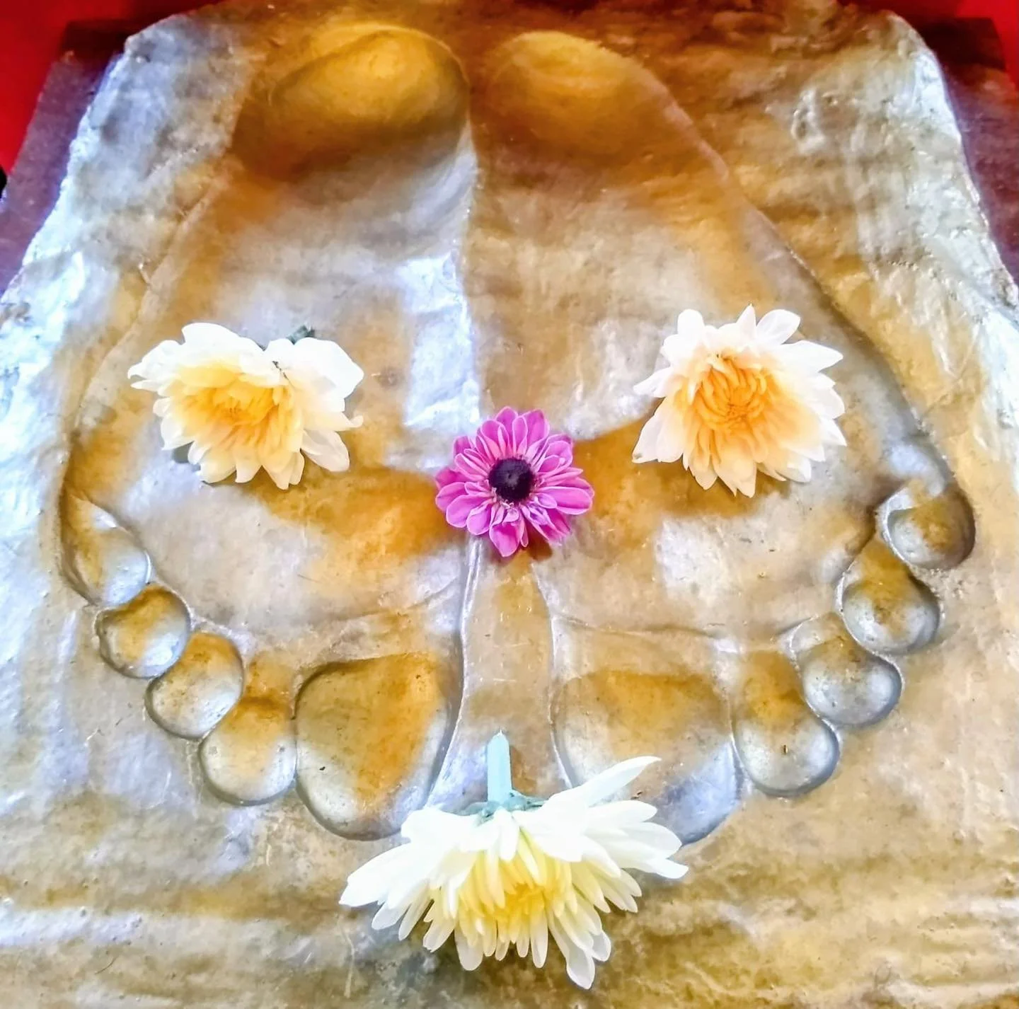 10/19/2025 today&rsquo;s darshan