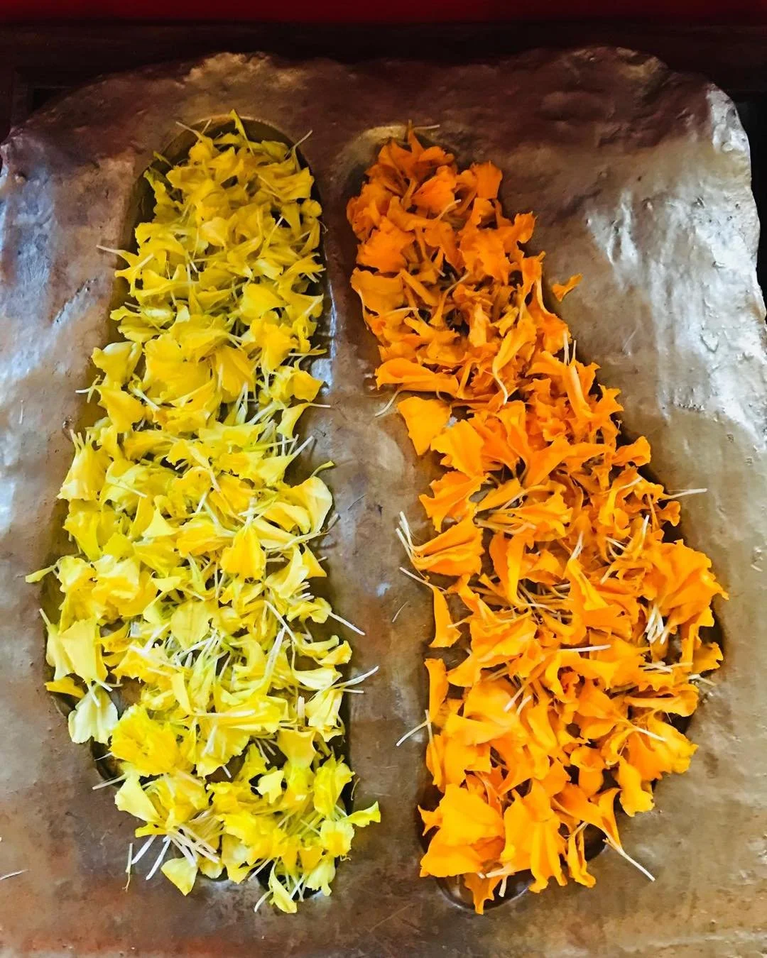 11/09/2025 Today&rsquo;s darshan