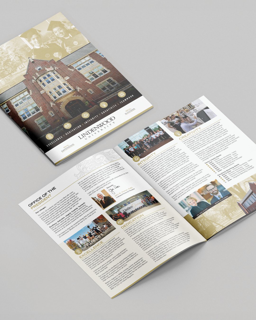 Peer Insititution Brochure