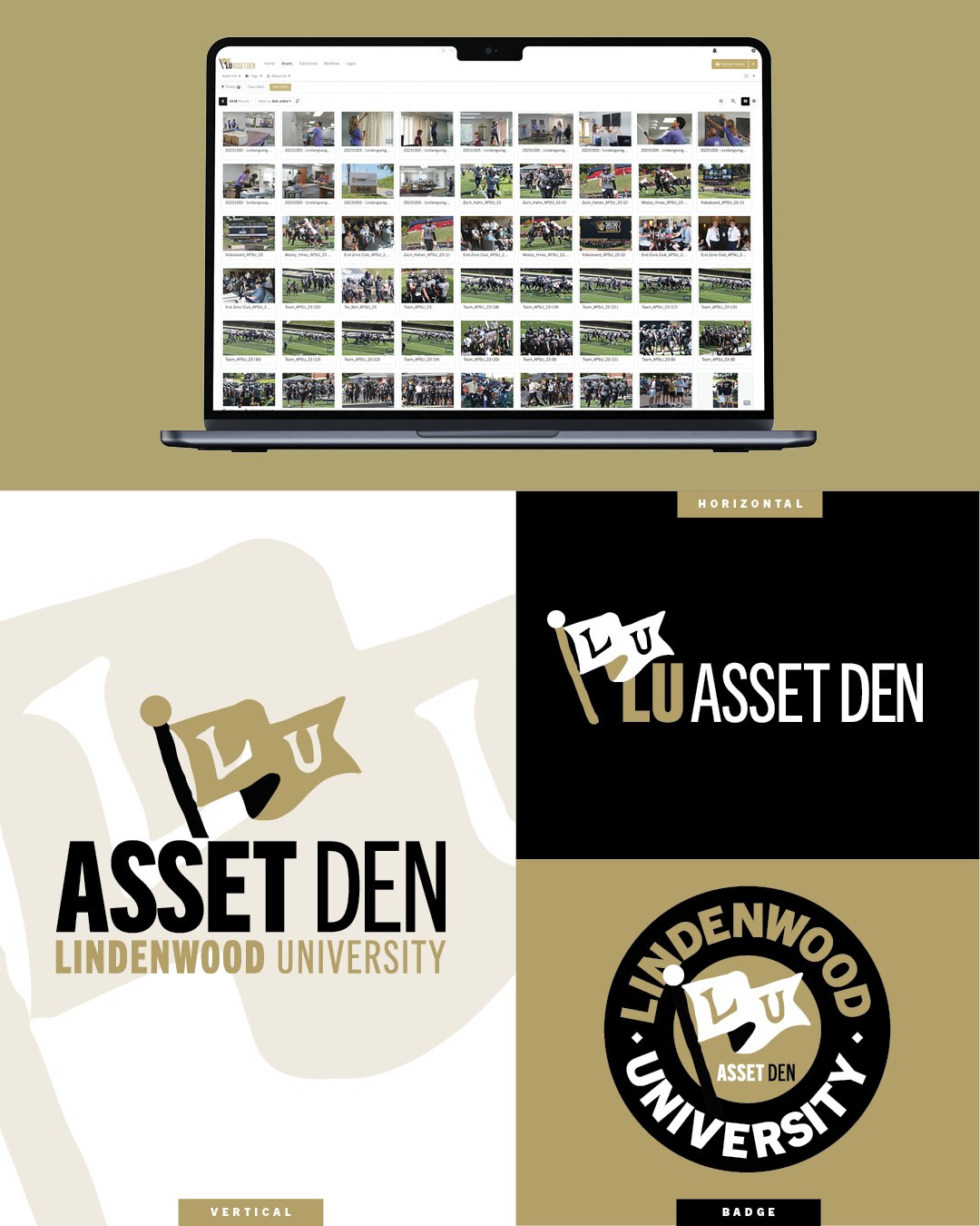 Asset Den Brand Identity