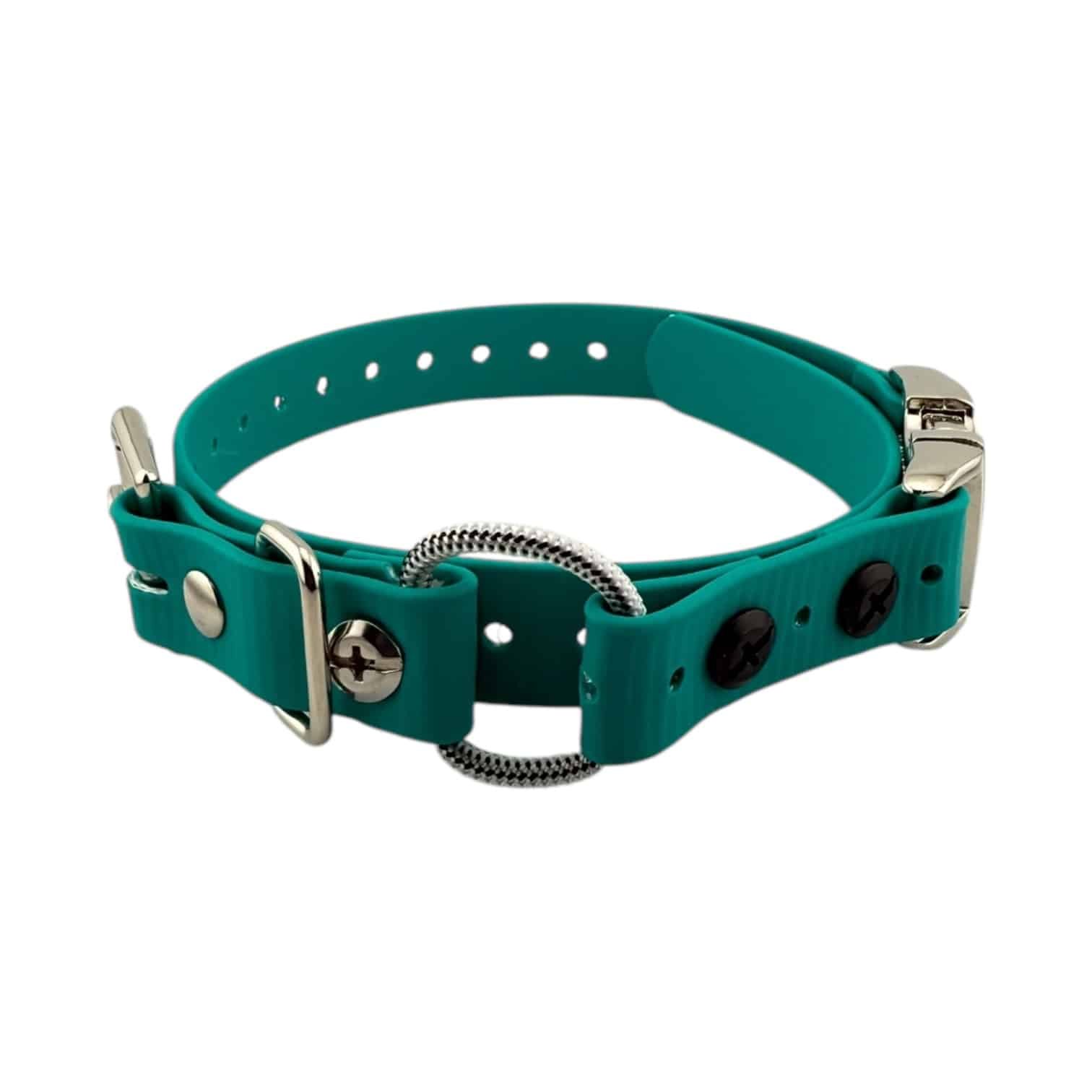 Teal-Mini-QuickSnap-Bungee-034.jpeg