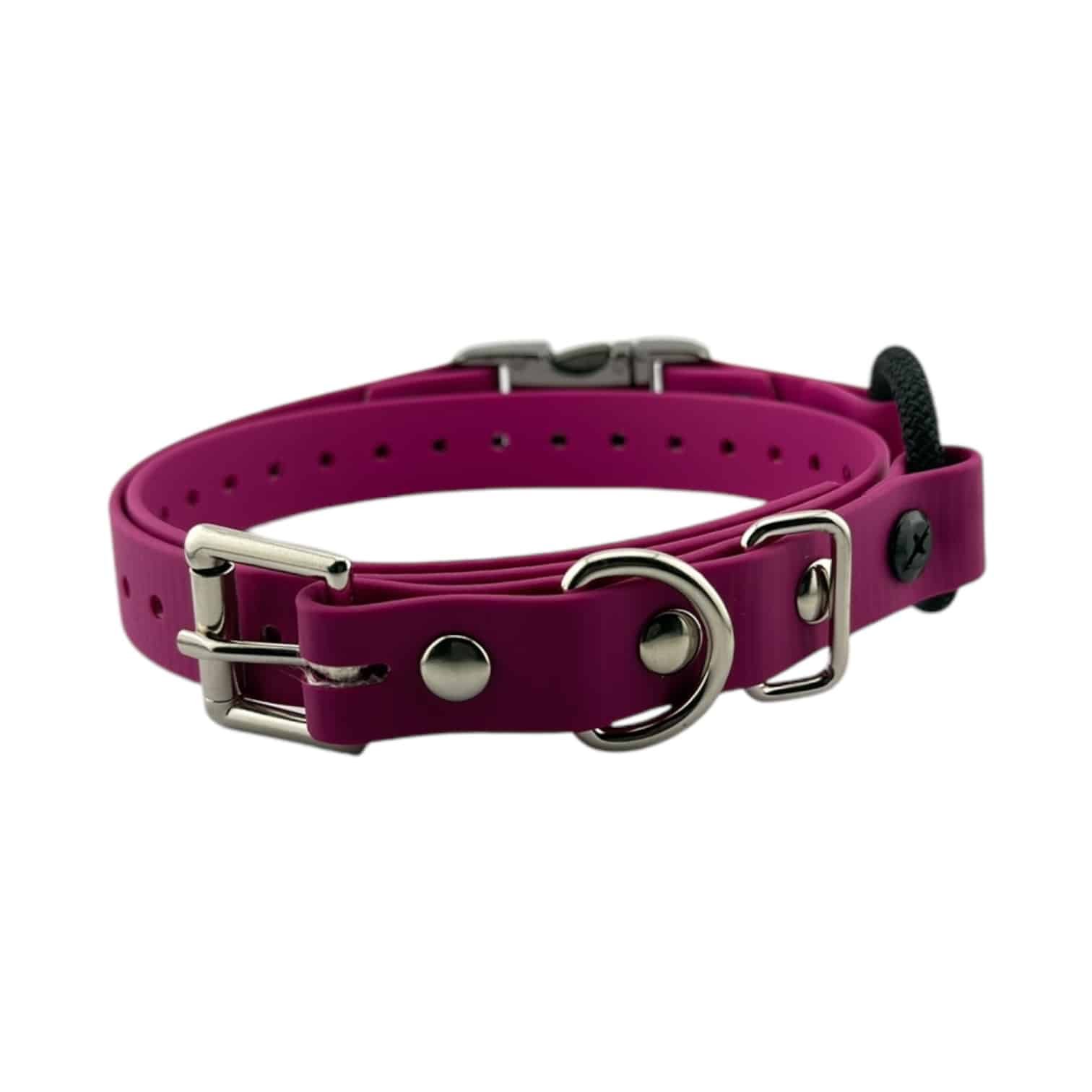 Magenta-QuickSnap-Bungee-034.jpeg