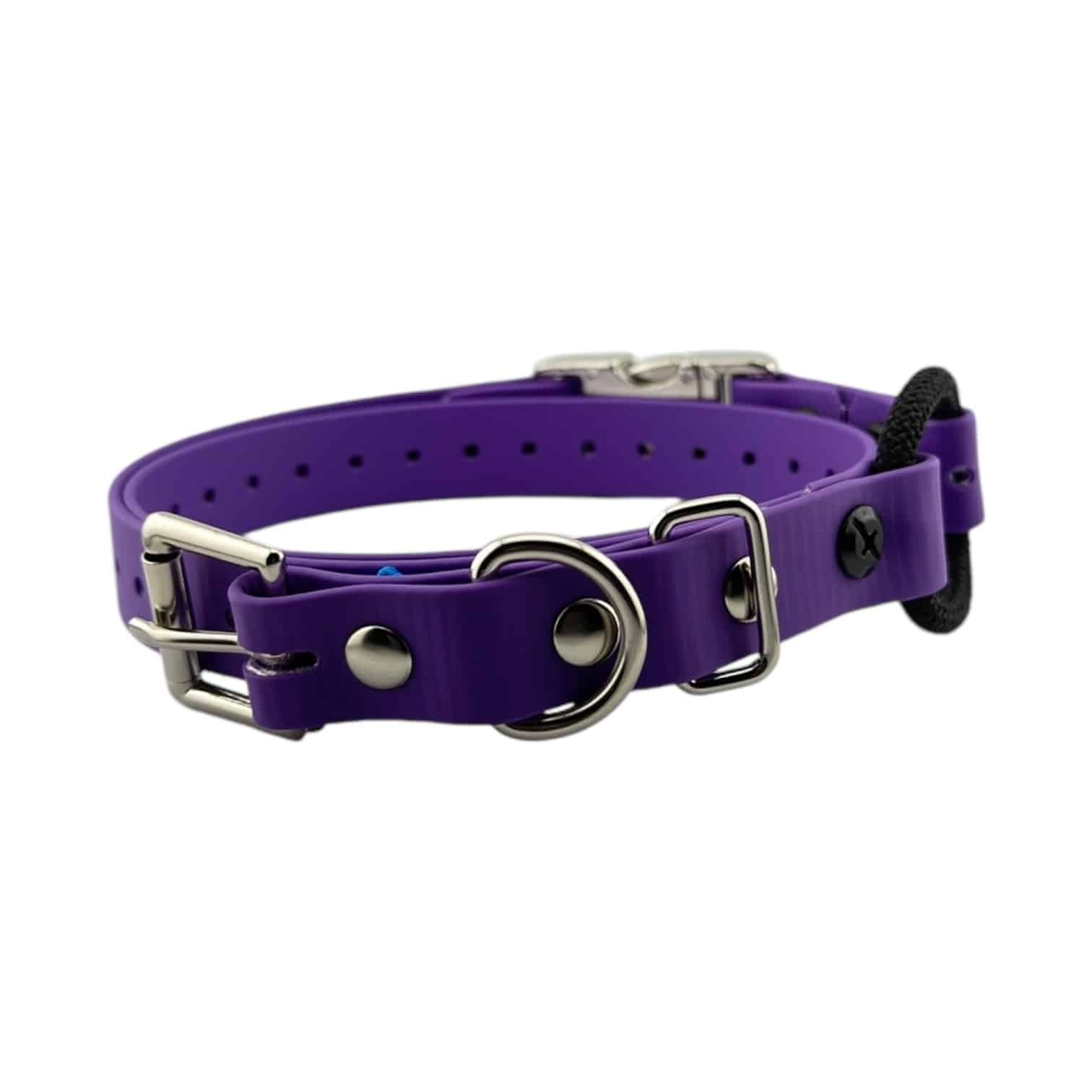 Purple-QuickSnap-Bungee-034.jpeg