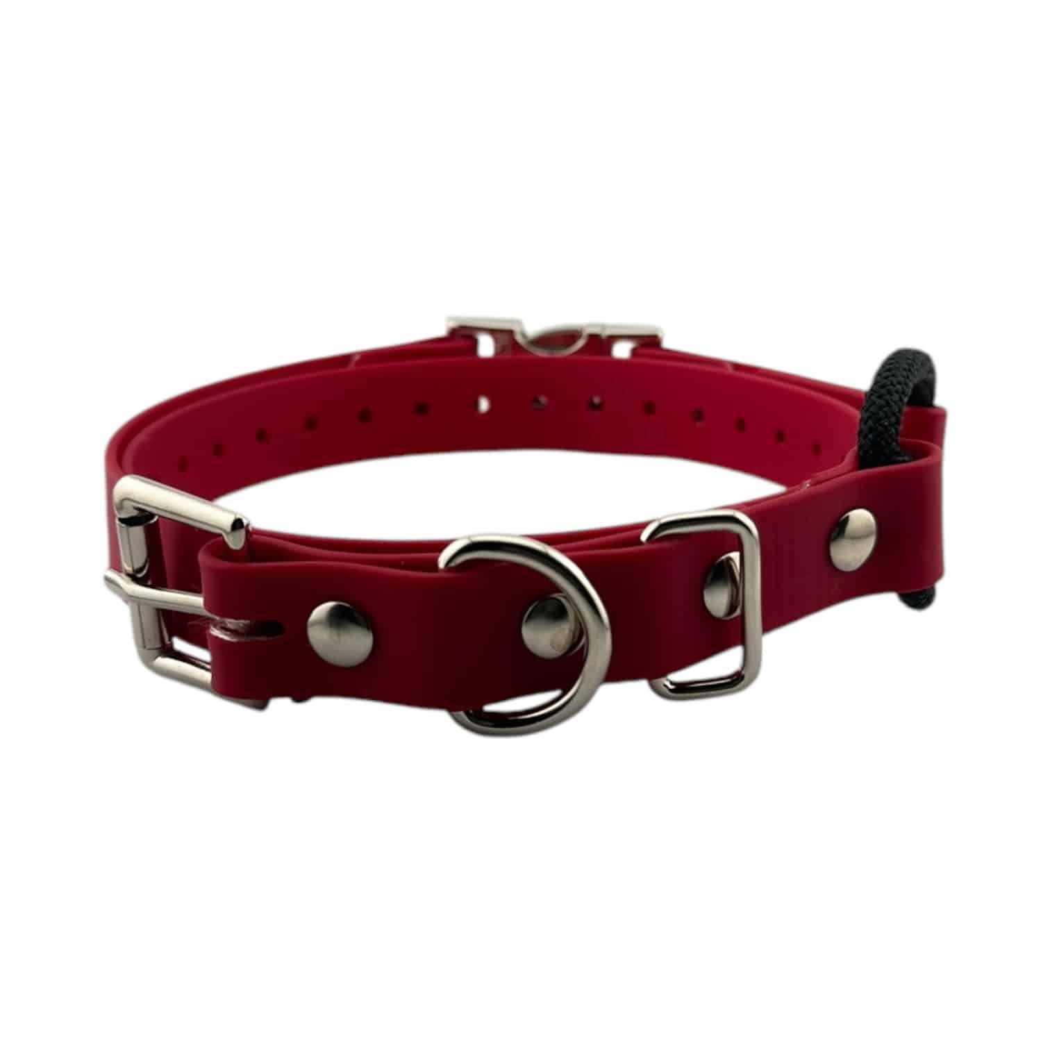 Red-QuickSnap-Bungee-034.jpeg