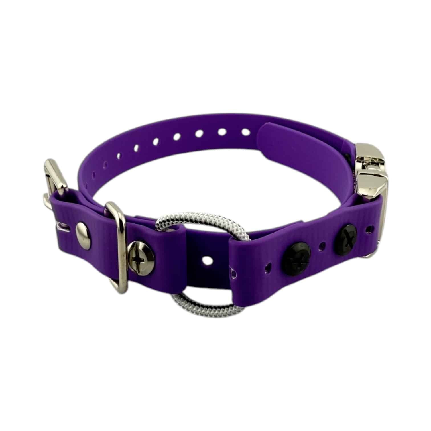 Purple-Mini-QuickSnap-Bungee-034.jpeg