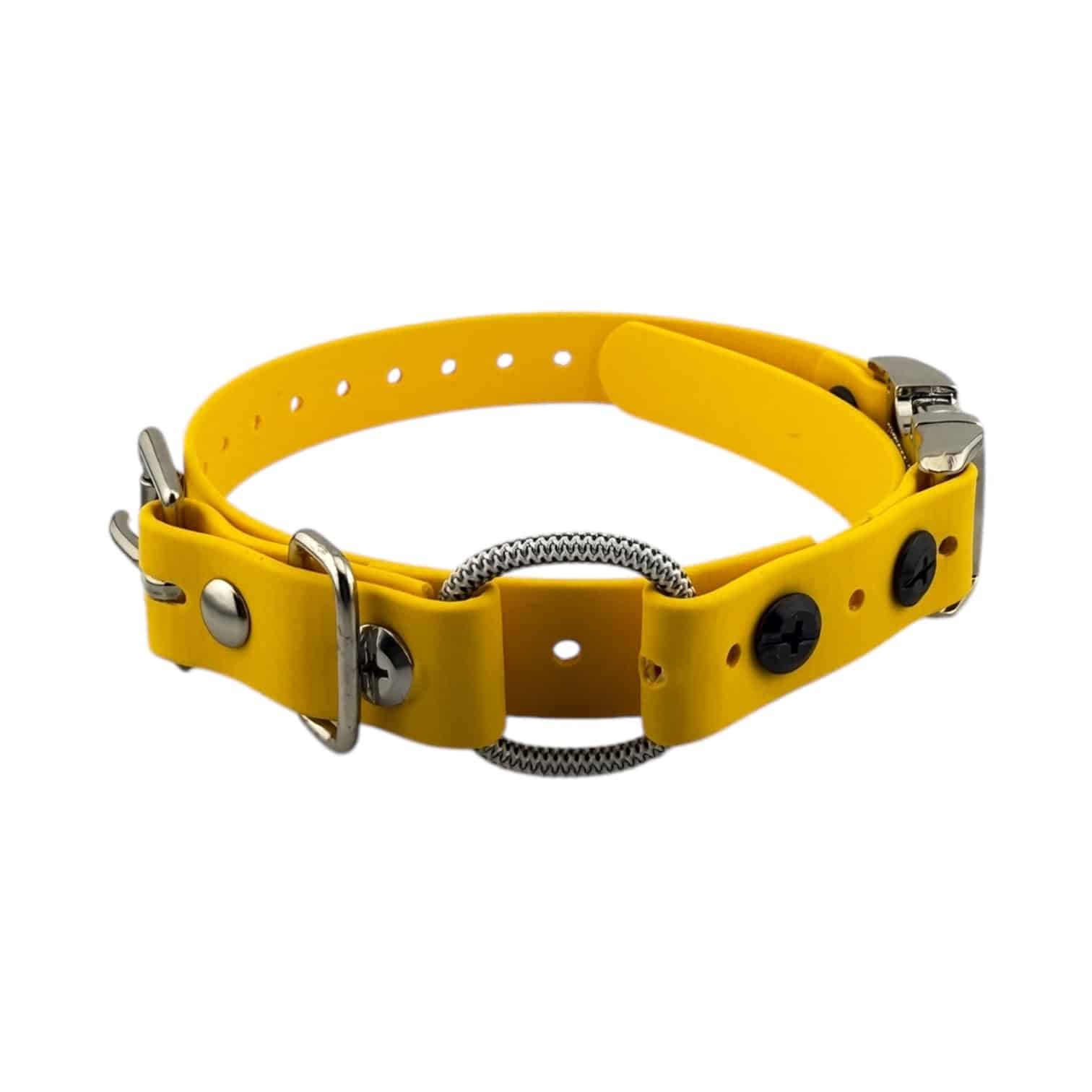Yellow-Mini-QuickSnap-Bungee-034.jpeg