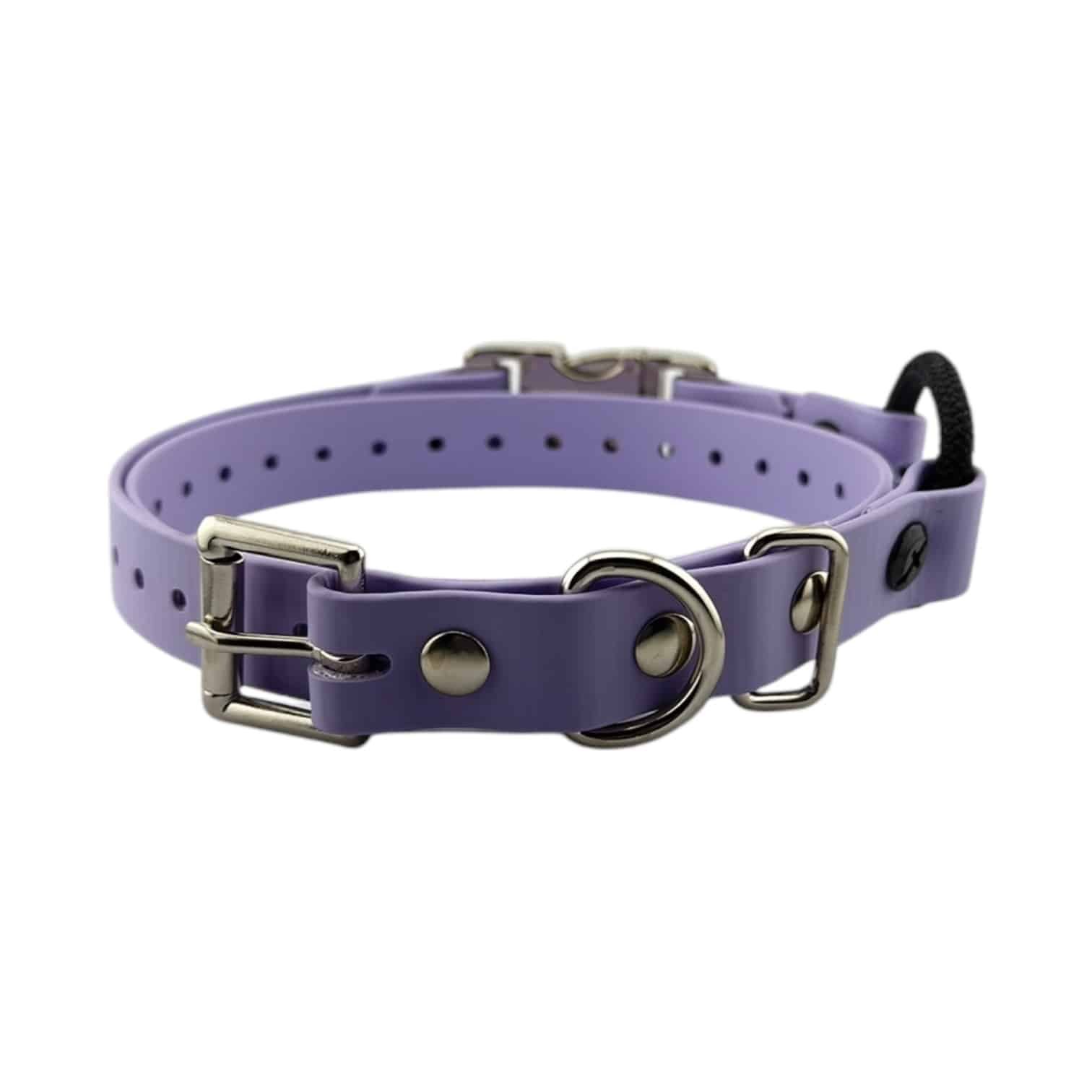 Lavender-QuickSnap-Bungee-034.jpeg