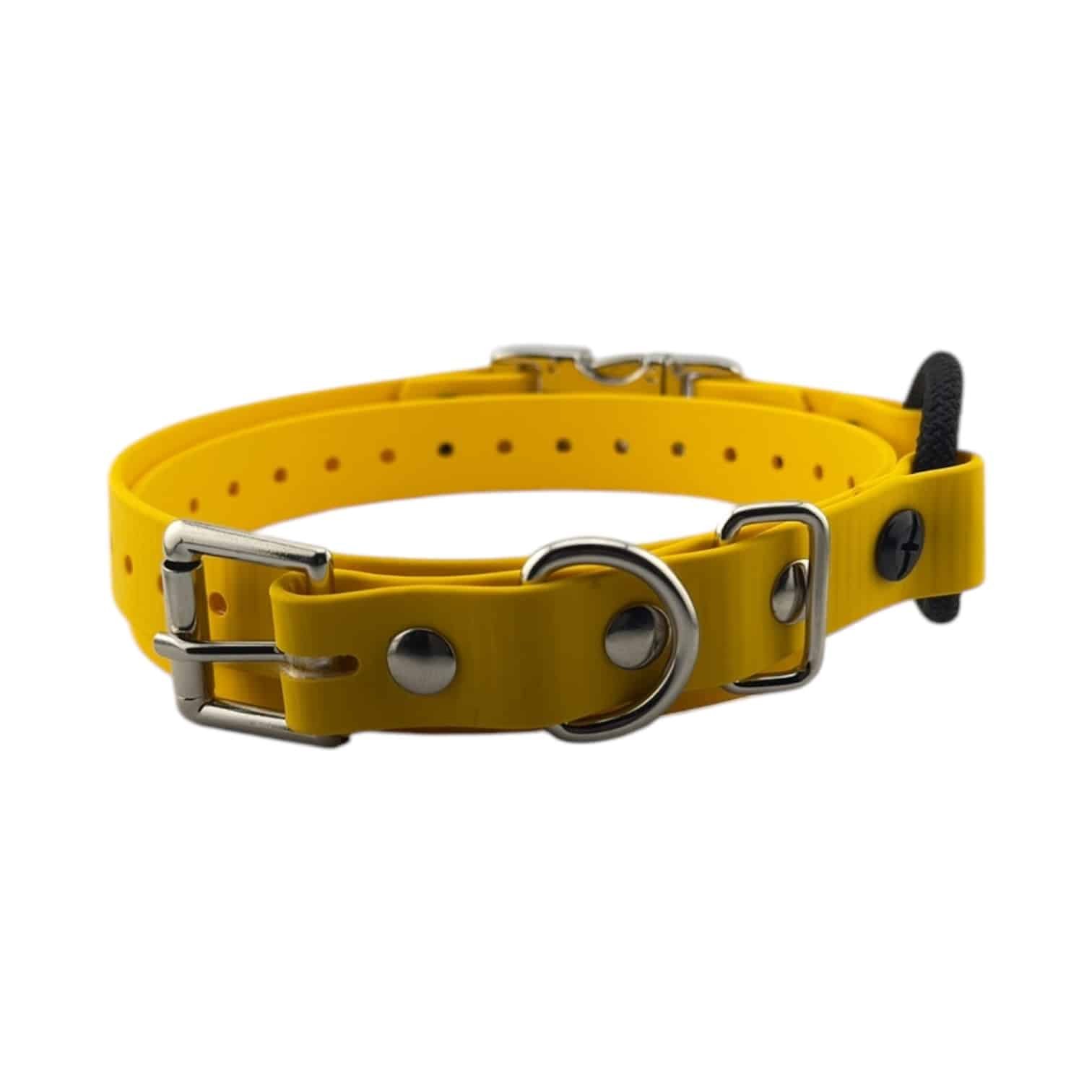 Yellow-QuickSnap-Bungee-034.jpeg
