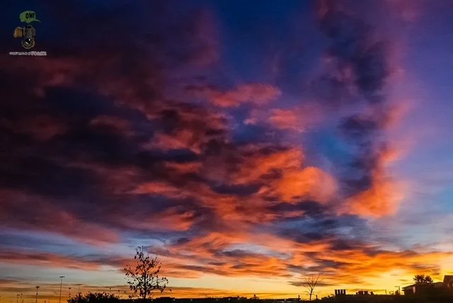 2326CA41-62F9-4192-80AE-AEA5F7B04670.JPEG
