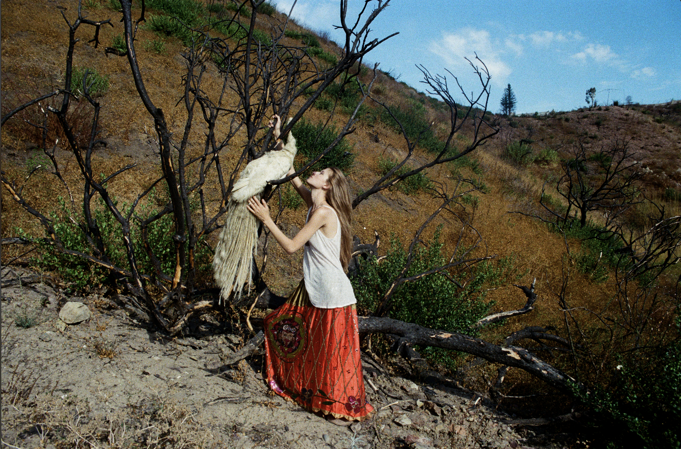 Screenshot 2026-01-01 at 21.17.34.png