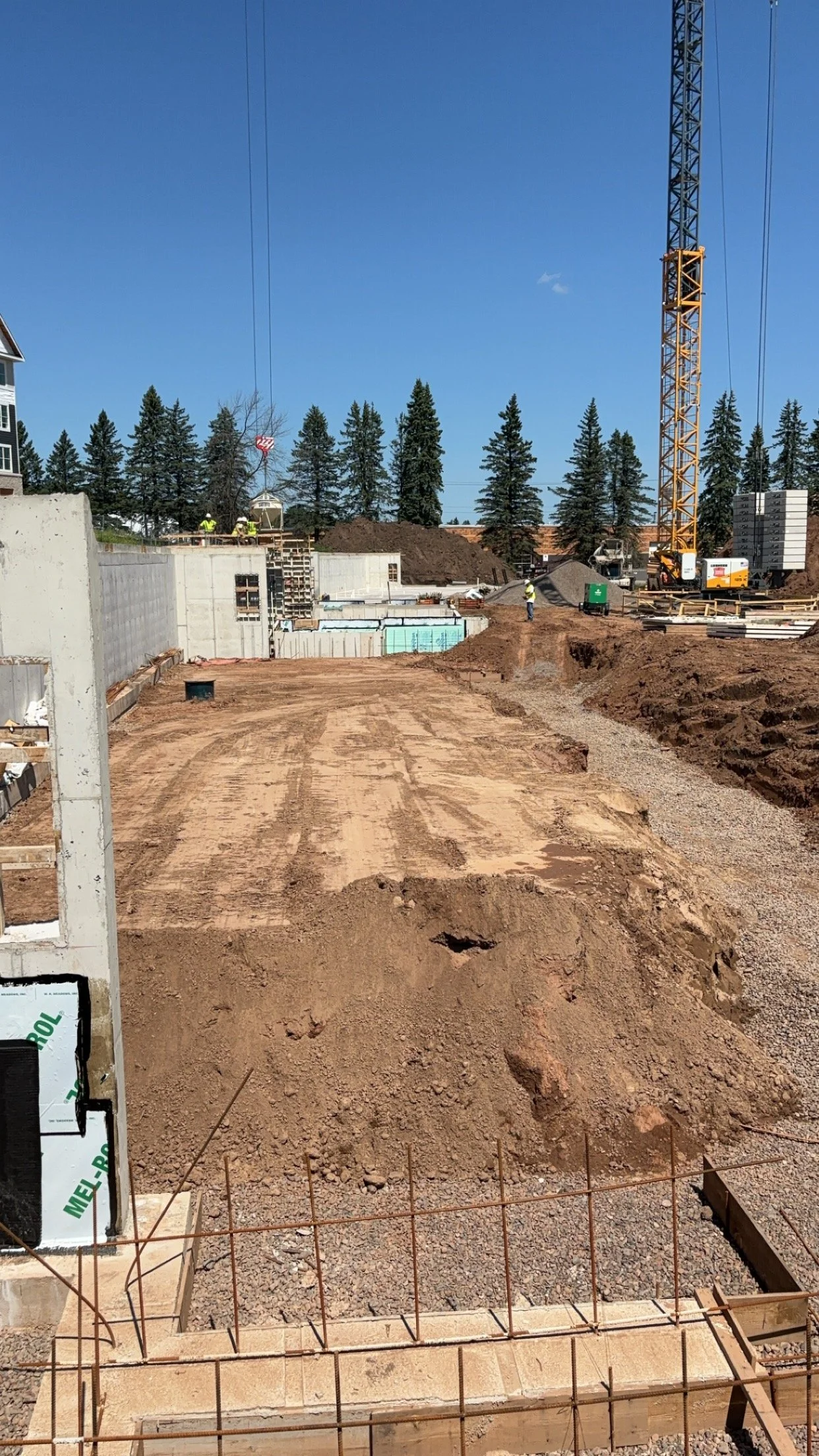 2024-08-02 13.29.21.jpg