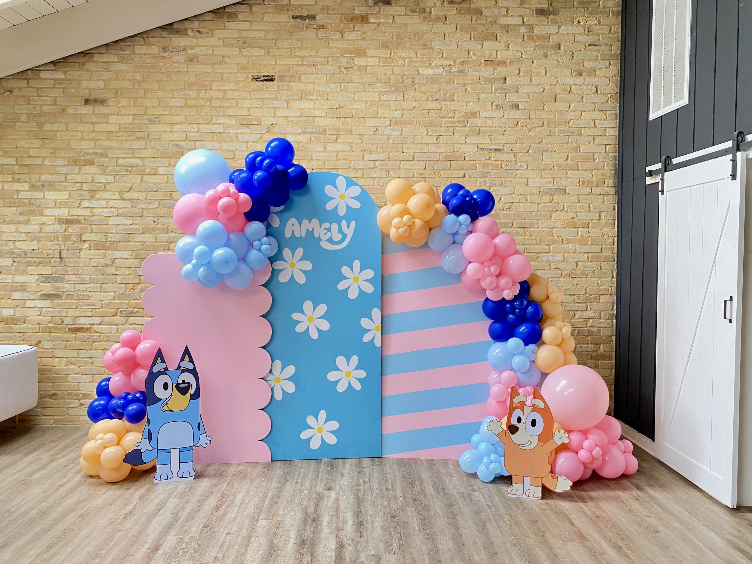 Bluey Birthday Girl Backdrop