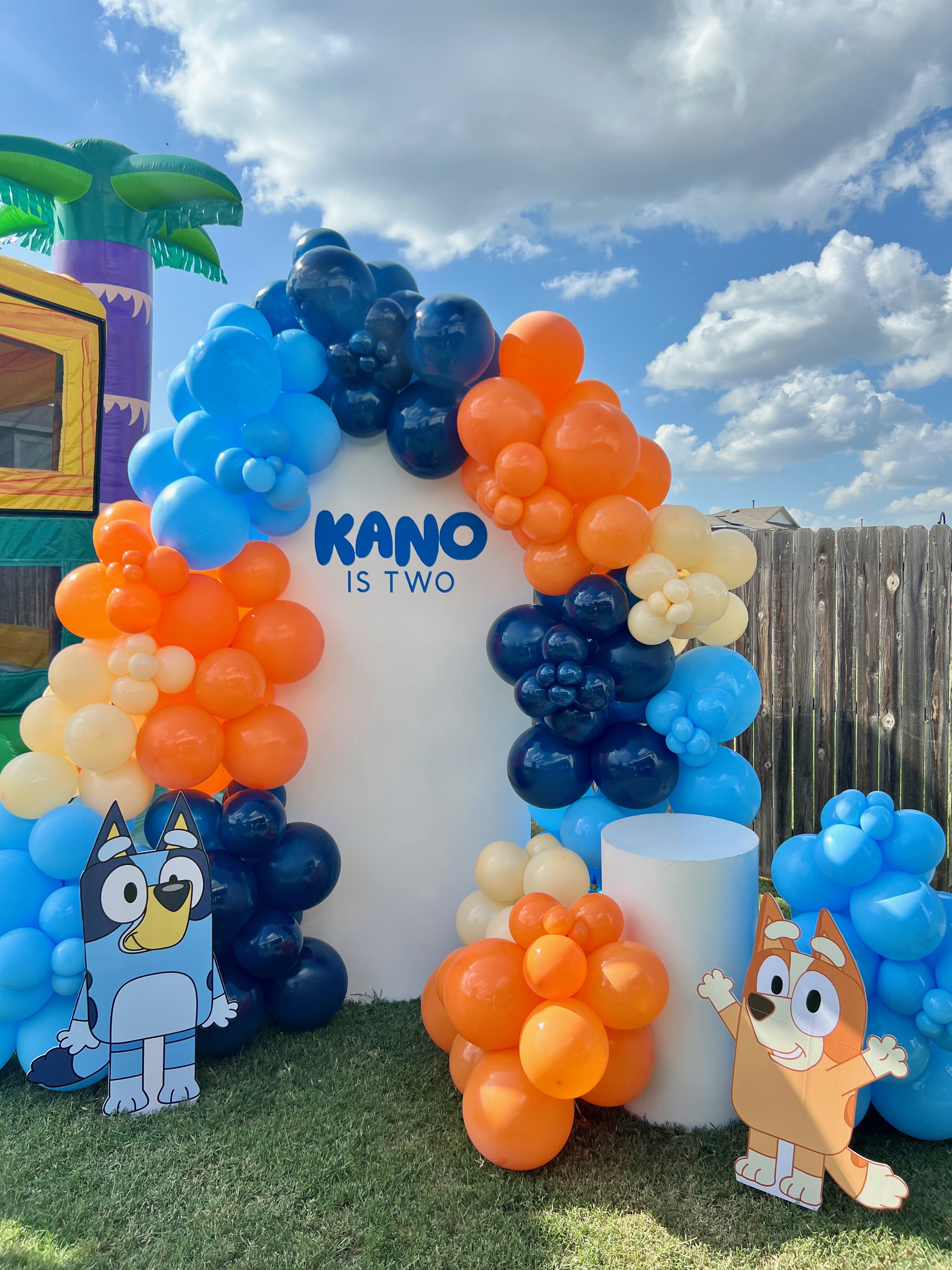 Bluey Birthday Boy Backdrop