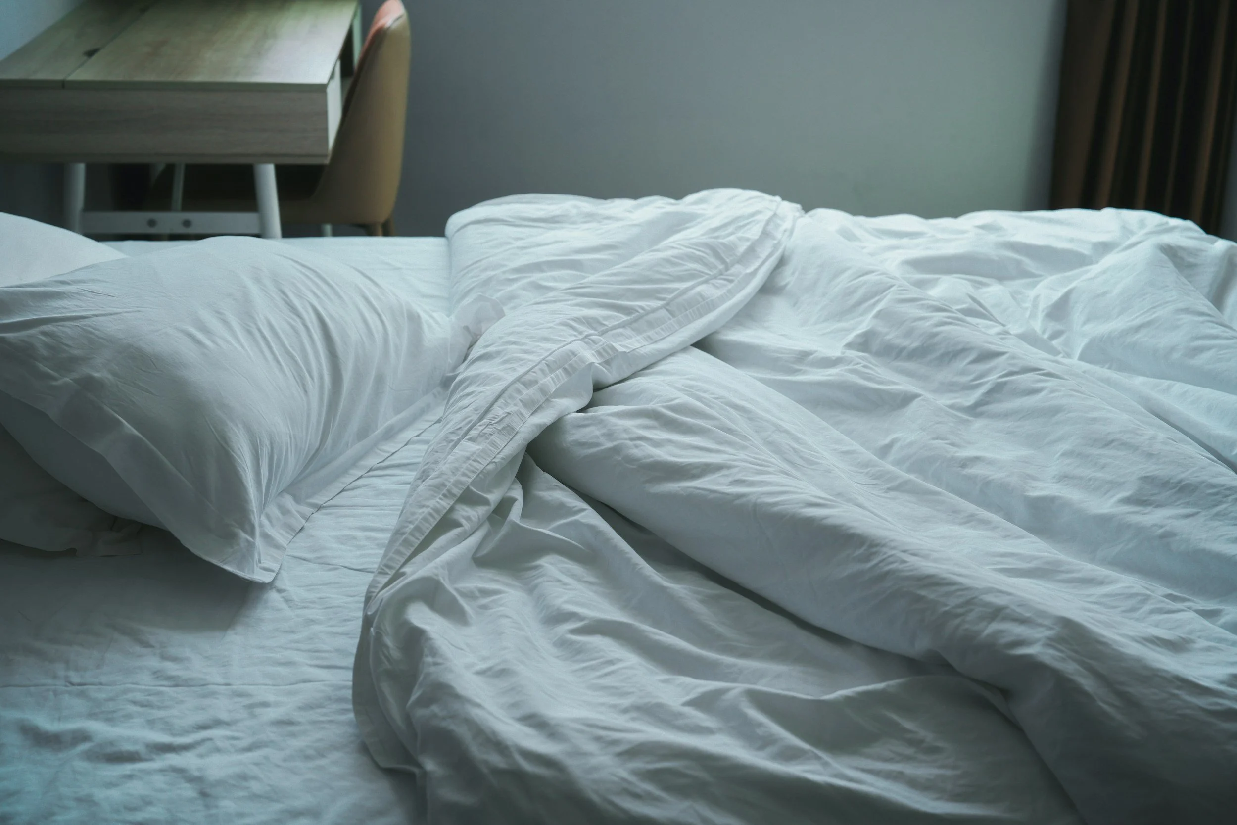 Chicago tops bedbug infestation list for fifth consecutive year