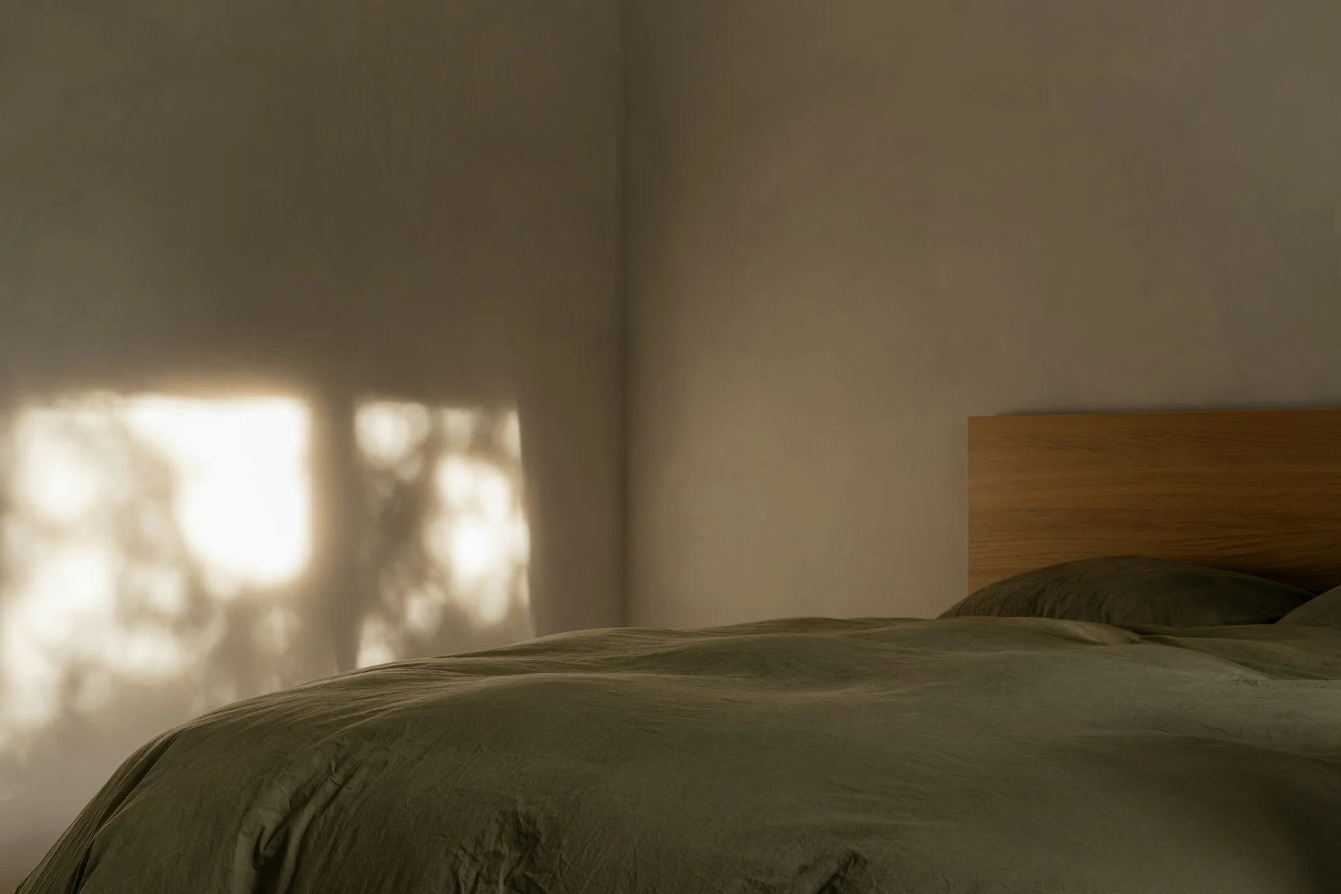 Understanding Bed Bug Legal Representation in Florida