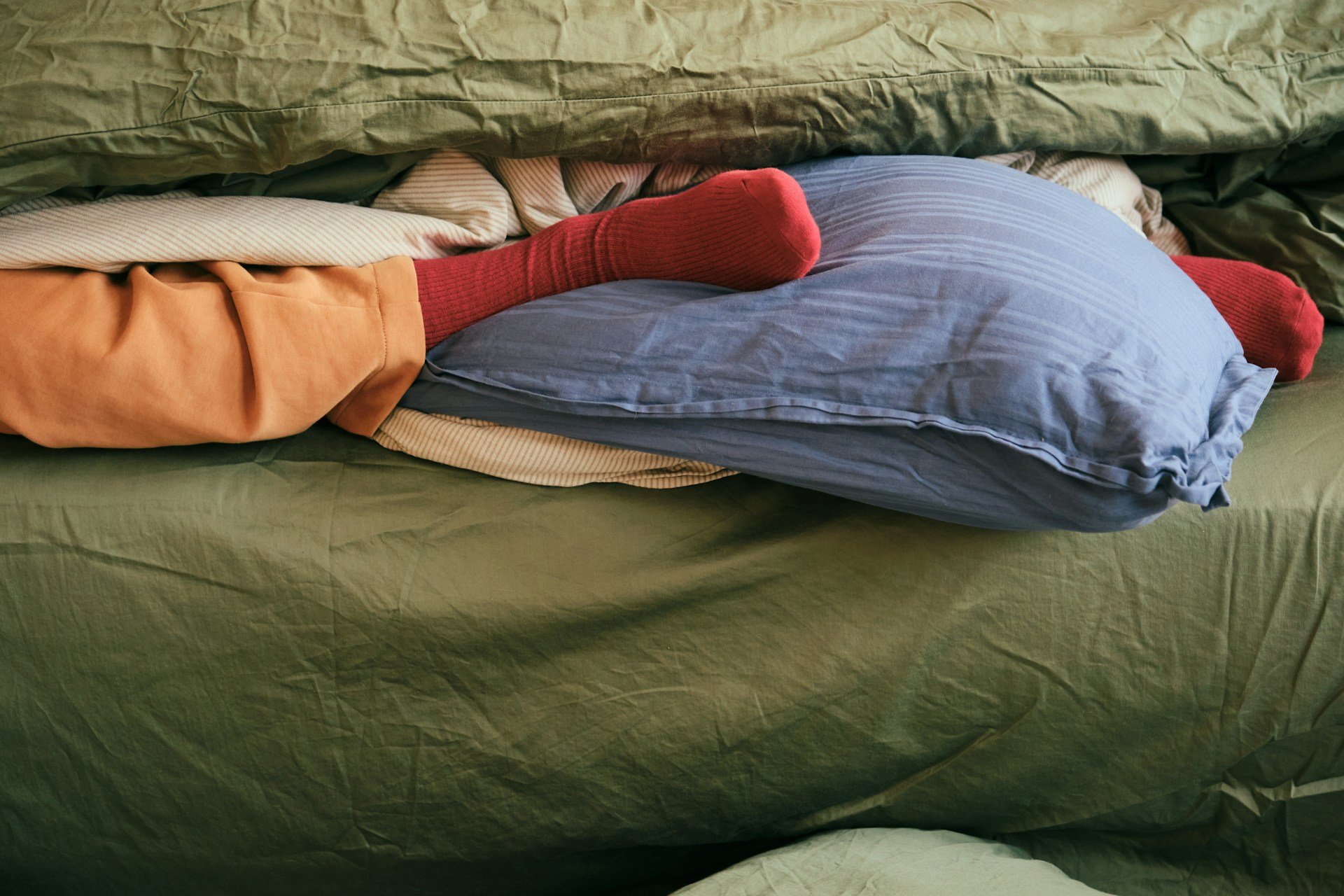 What Property Owners Are Responsible for in Florida Bed Bug Cases