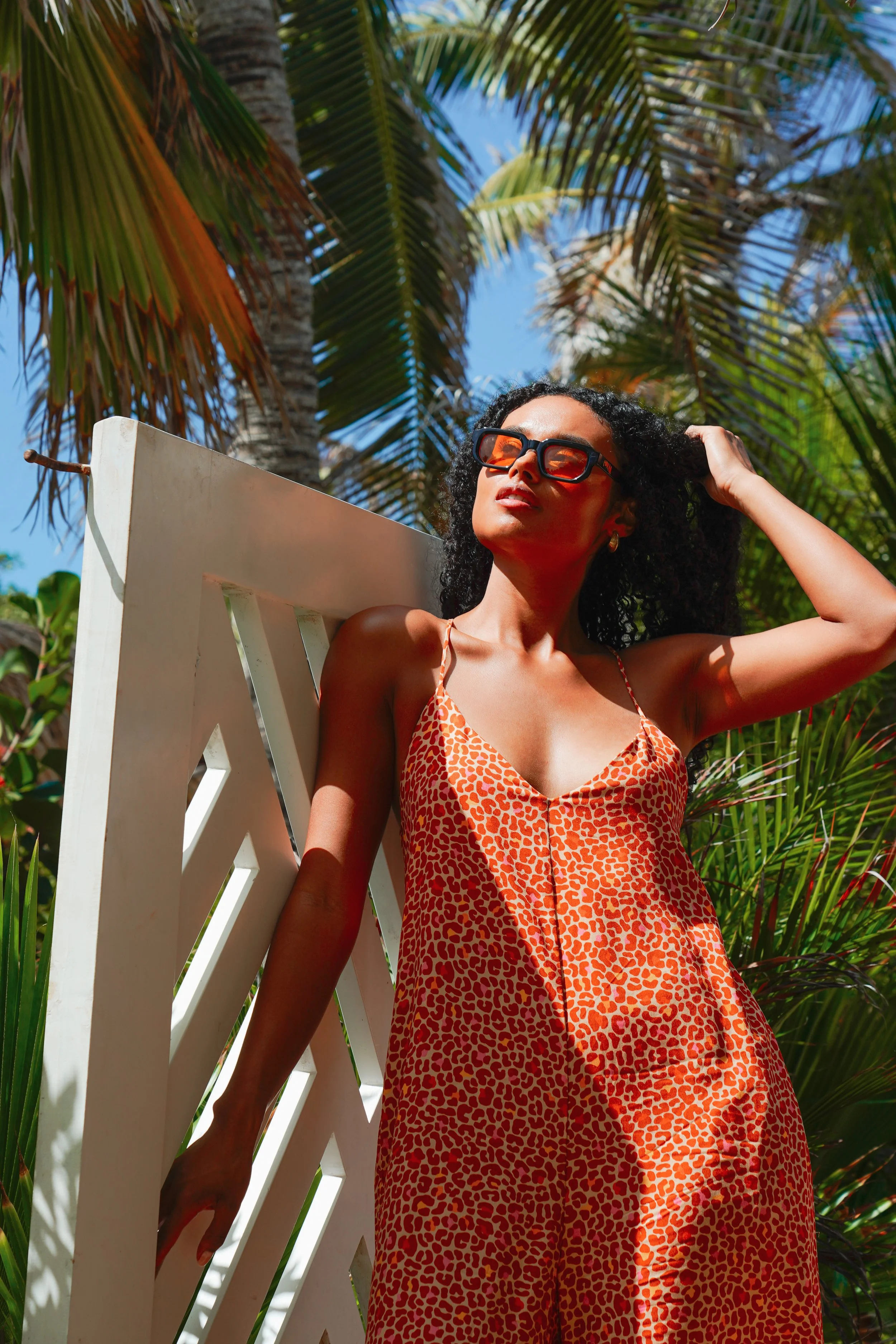 Jungle Concept Store1.jan26.jpg