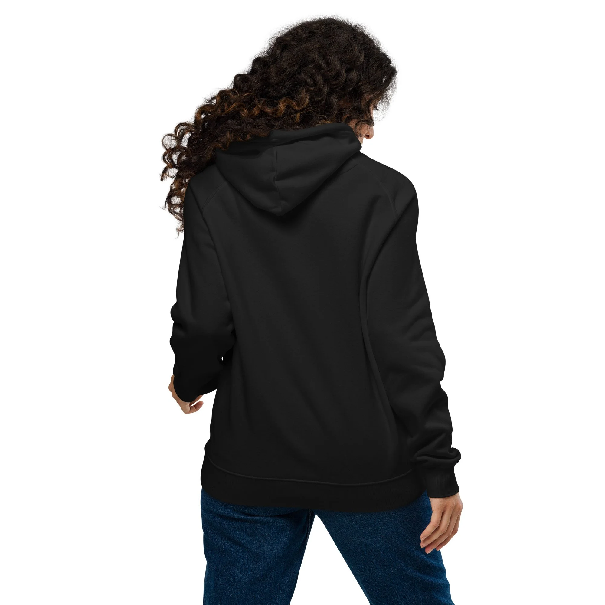 unisex-eco-raglan-hoodie-black-back-6789728825adf.jpg