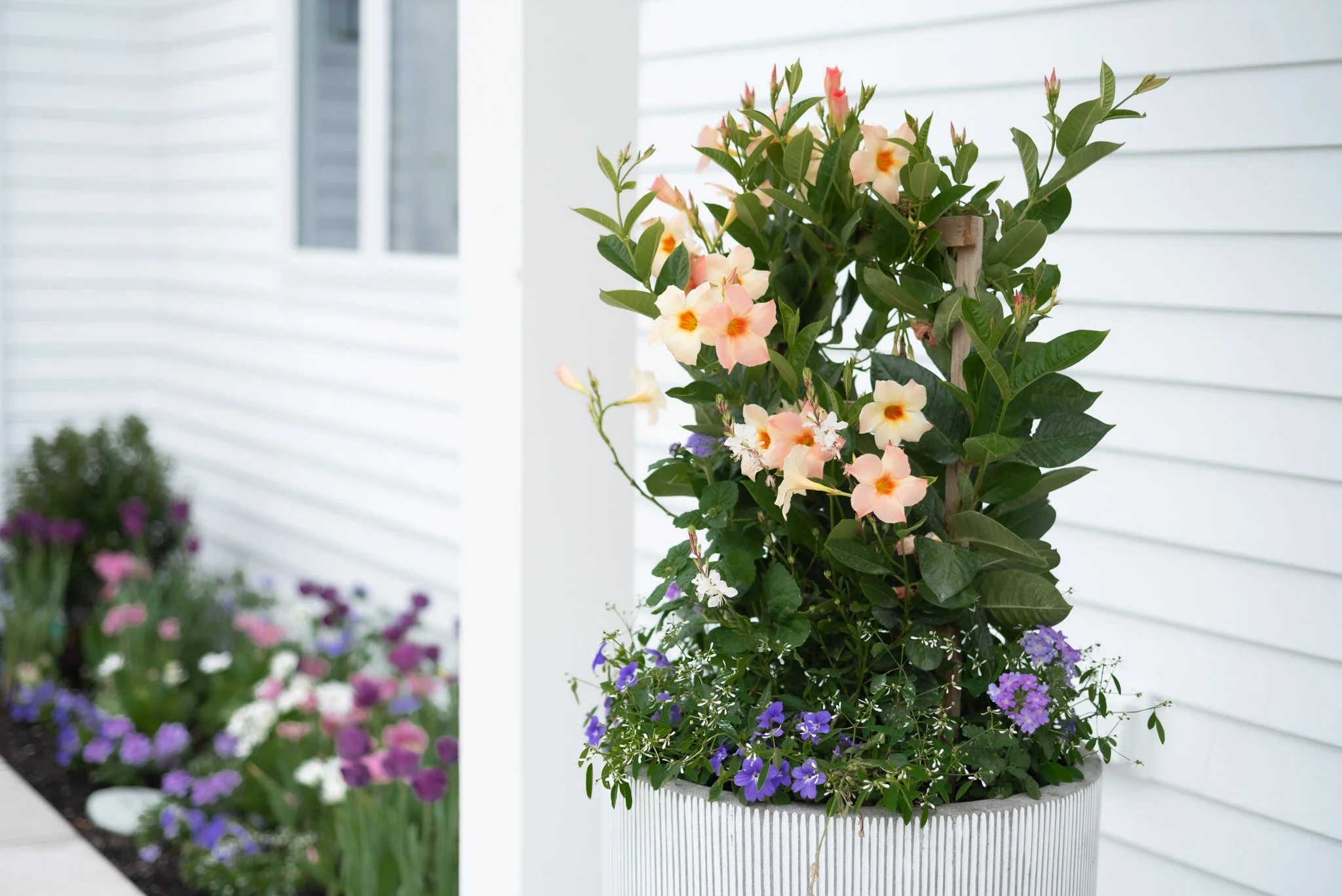 Front Planter.jpg