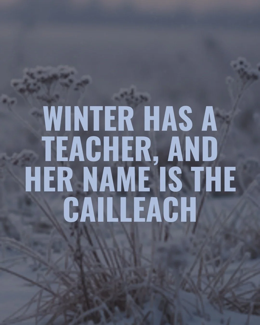 Winter feels like it&rsquo;s already speaking volumes to me this year. There&rsquo;s this energy&mdash;like someone pointing a finger at me and asking for straight-up honesty. Pretty sure it&rsquo;s the Cailleach showing up again.

I wrote about it t