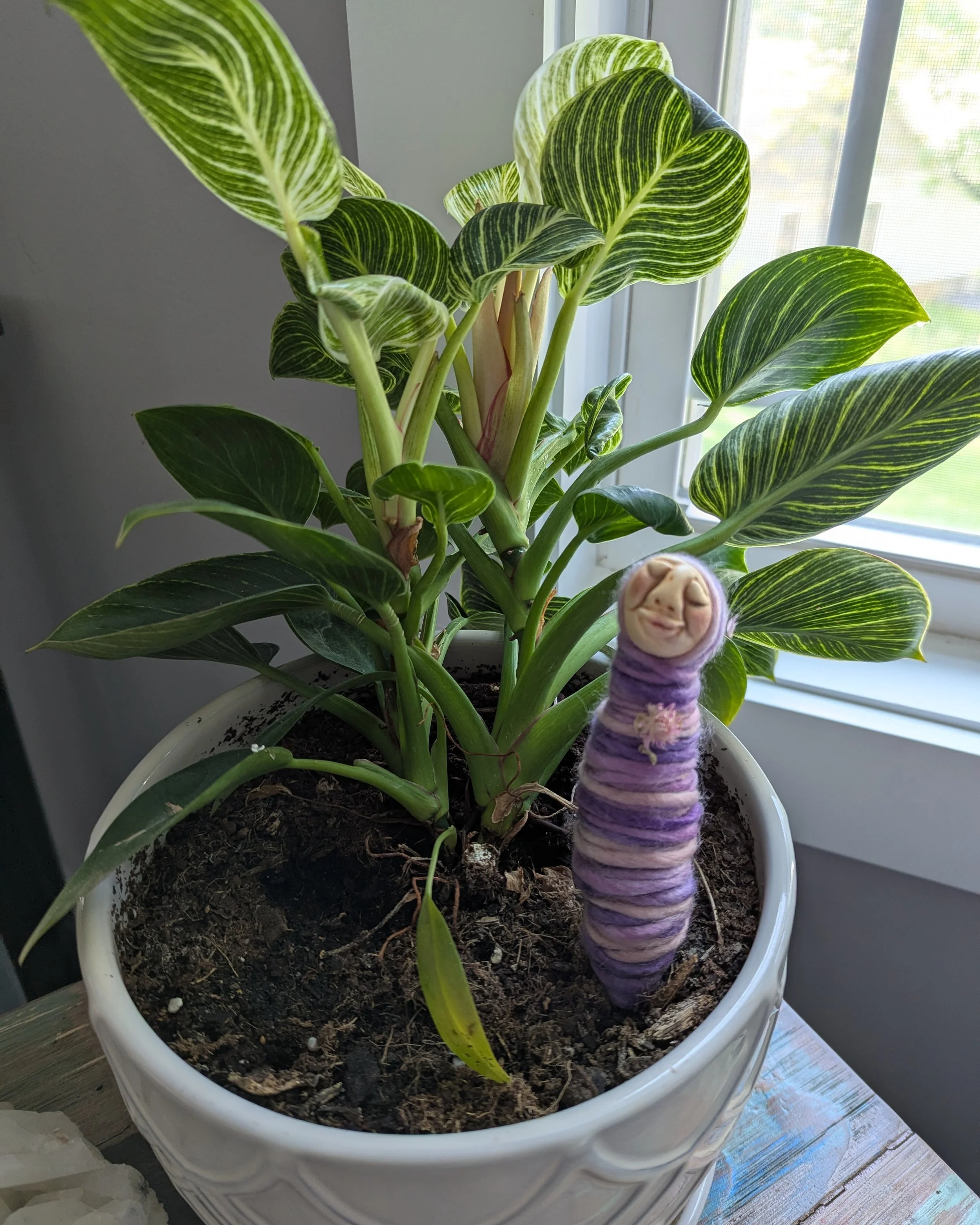 I tucked this little one into one of my houseplants, and apparently this is where they live now.

I&rsquo;ve been thinking a lot lately about how seriously we can take our own growth. Our creativity. Our healing. Our attempts to understand ourselves.