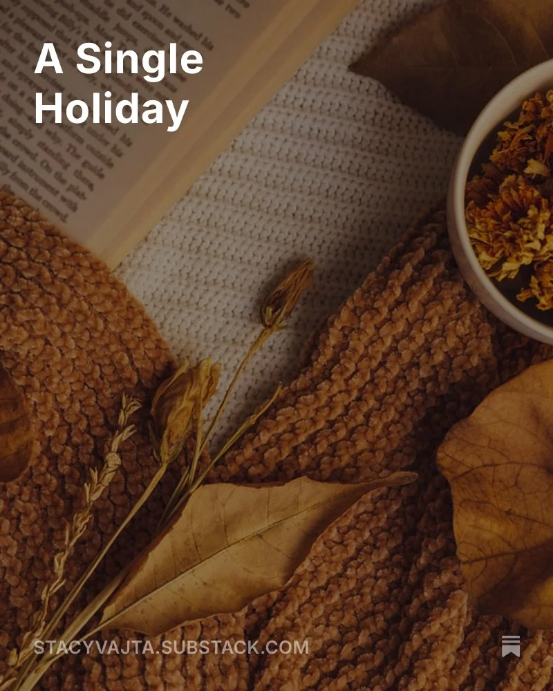 A cozy scene with an open book, dried leaves, a knitted blanket, and a bowl of dried flowers, with the title “A Single Holiday” overlaid.