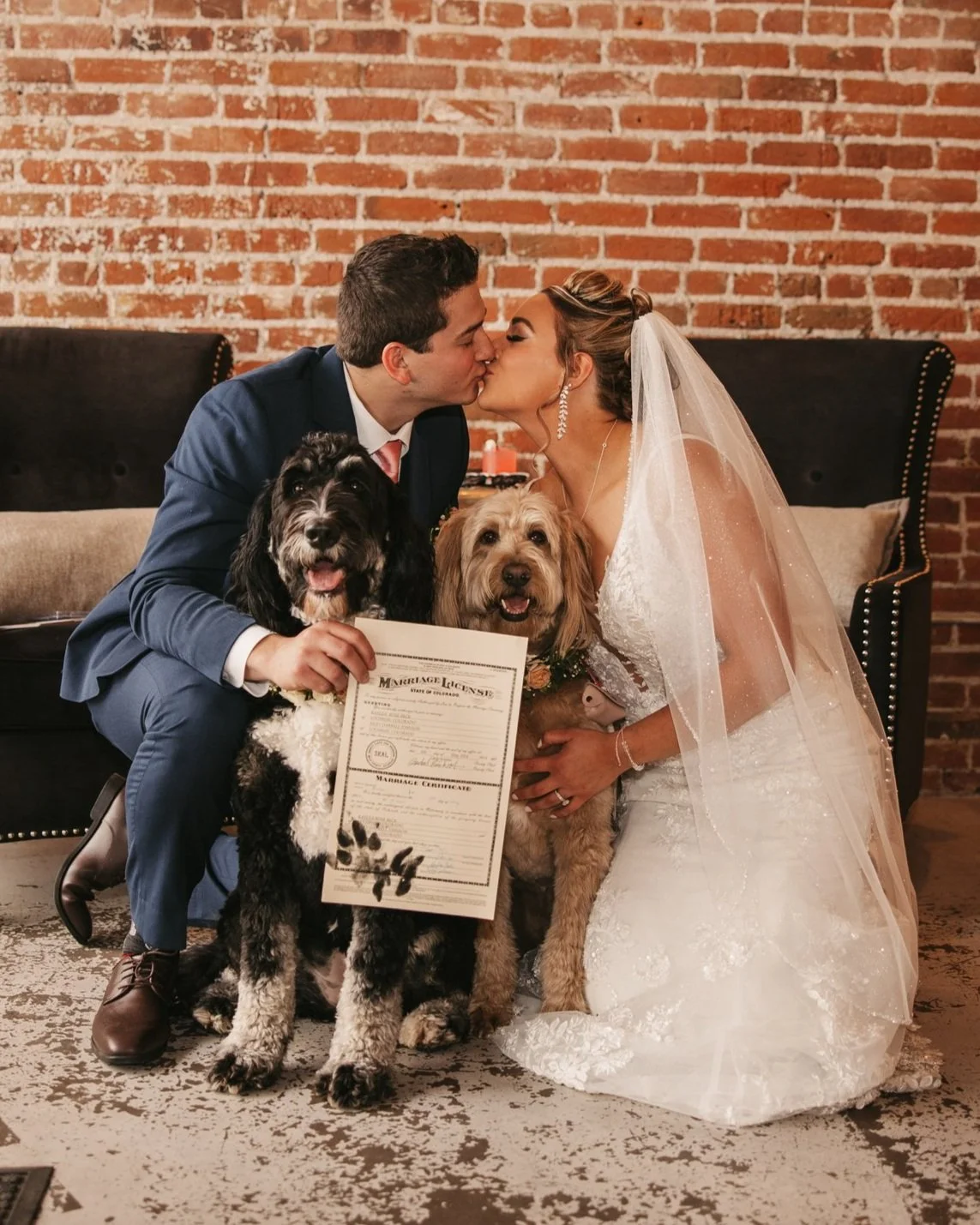 Wedding pet services | Beachweddingtips.com