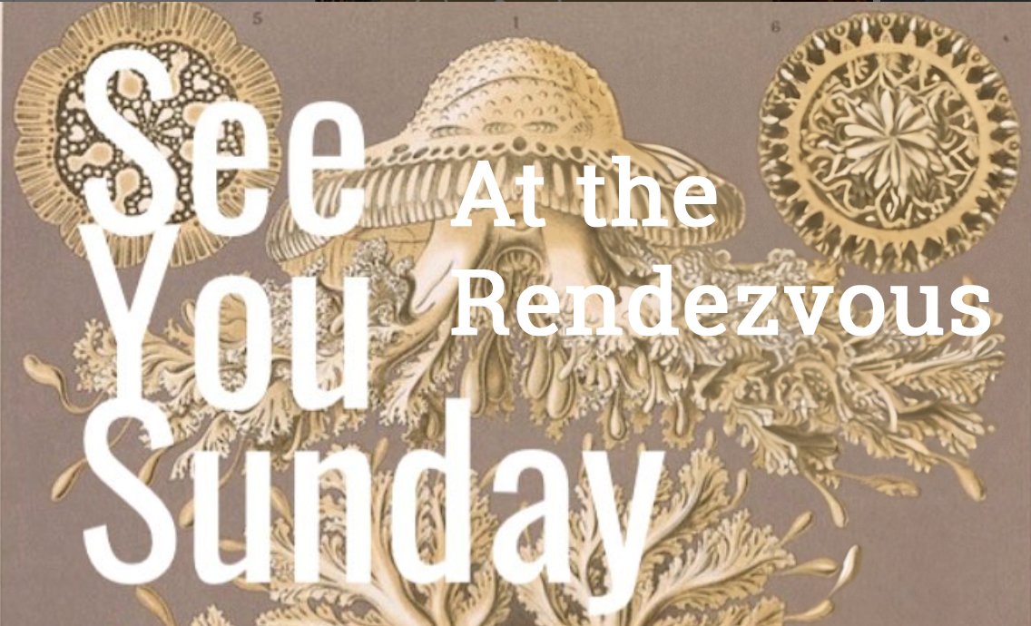 SEATTLE - RENDEZVOUS - FEATURE at SUSSY OPEN MIC