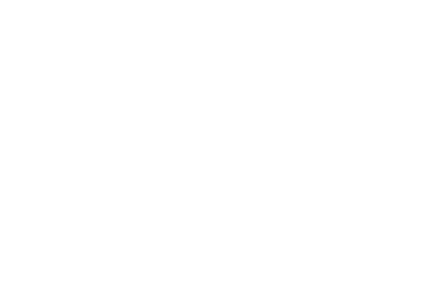 Black background with the white text 'SLF STUDIO' beneath a stylized logo of three abstract shapes.
