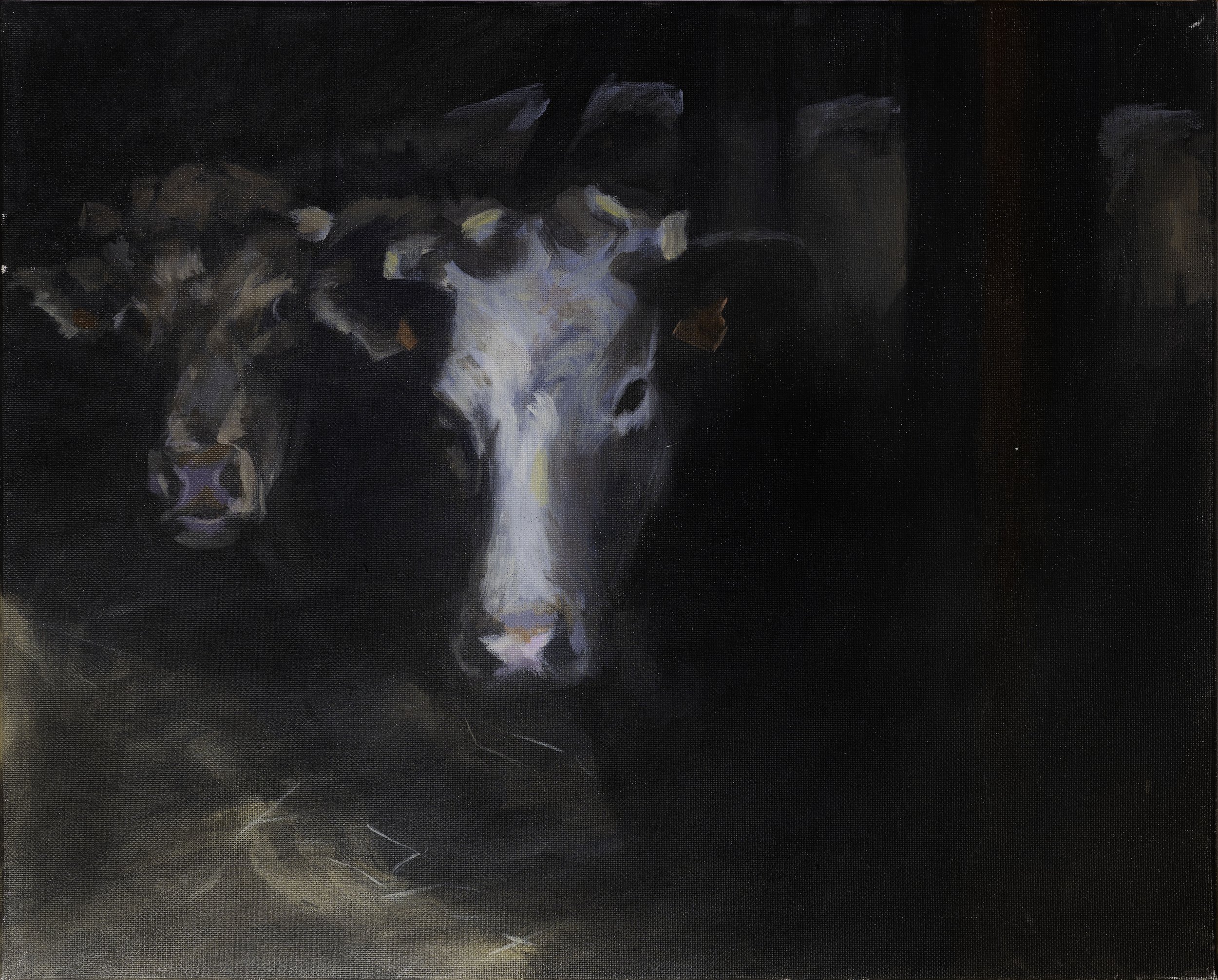 Deux vaches JPEG.jpg