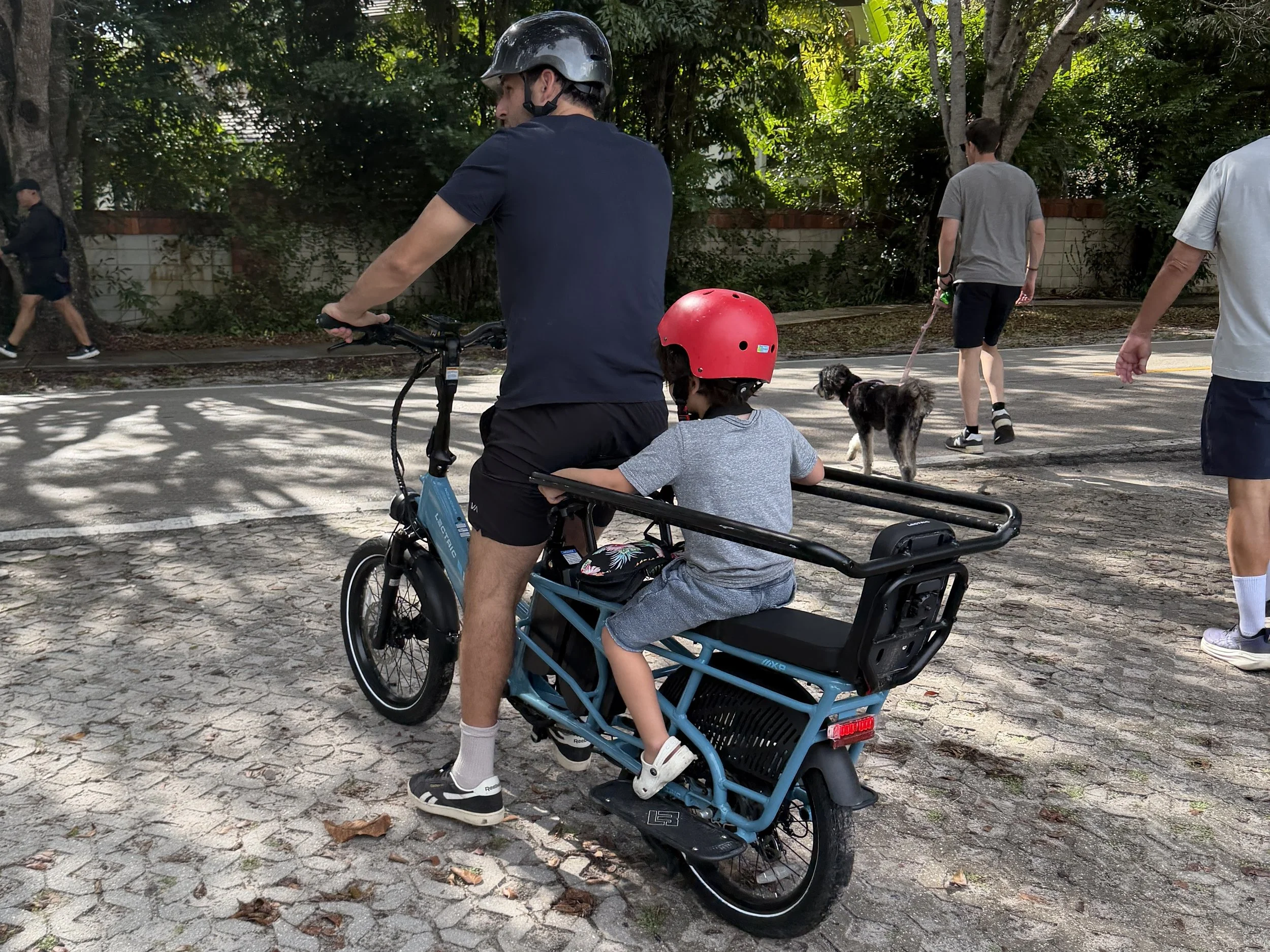 A Pinecrest For Everyone