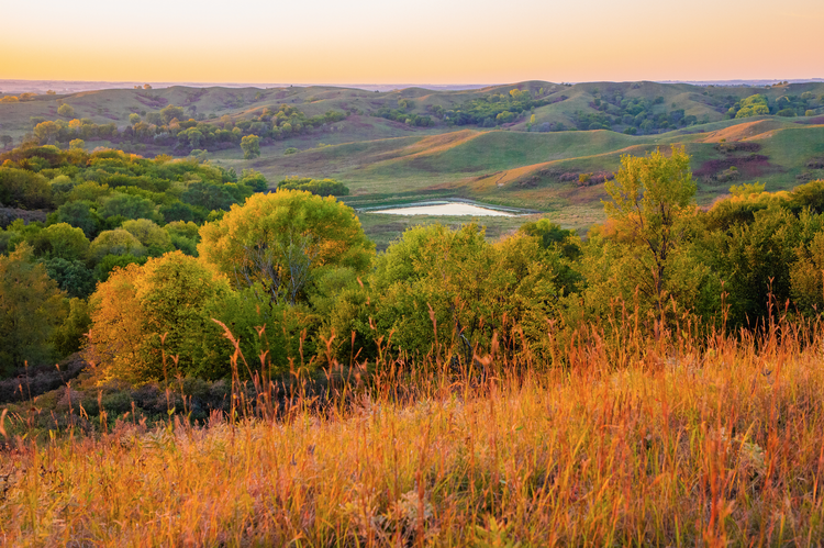 OnThePrairie.png