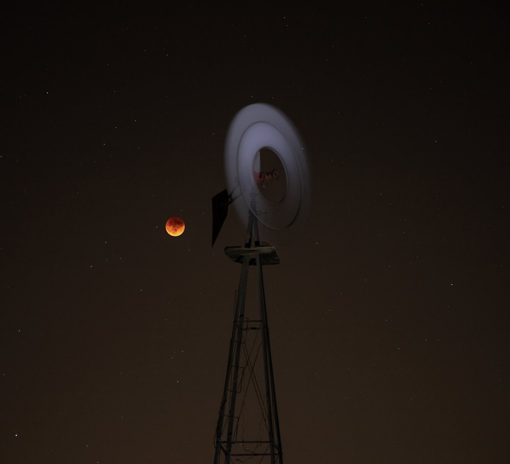 52076823678_38d6592982_4k.jpg