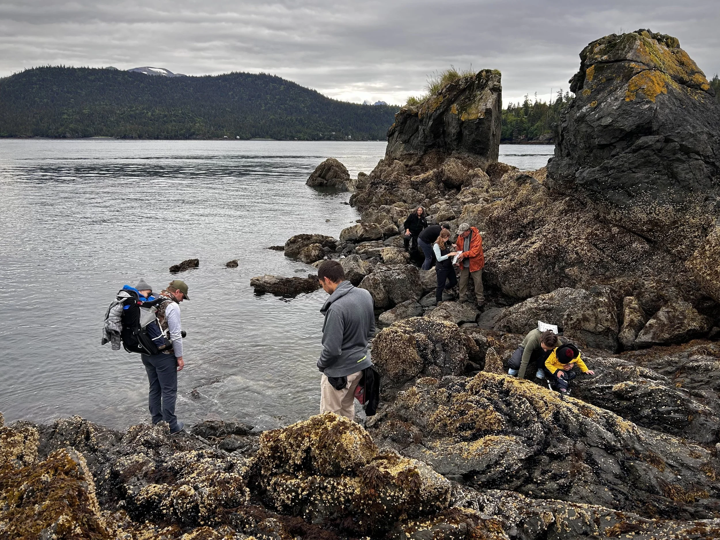 2024_S2T_in the rocks.jpeg