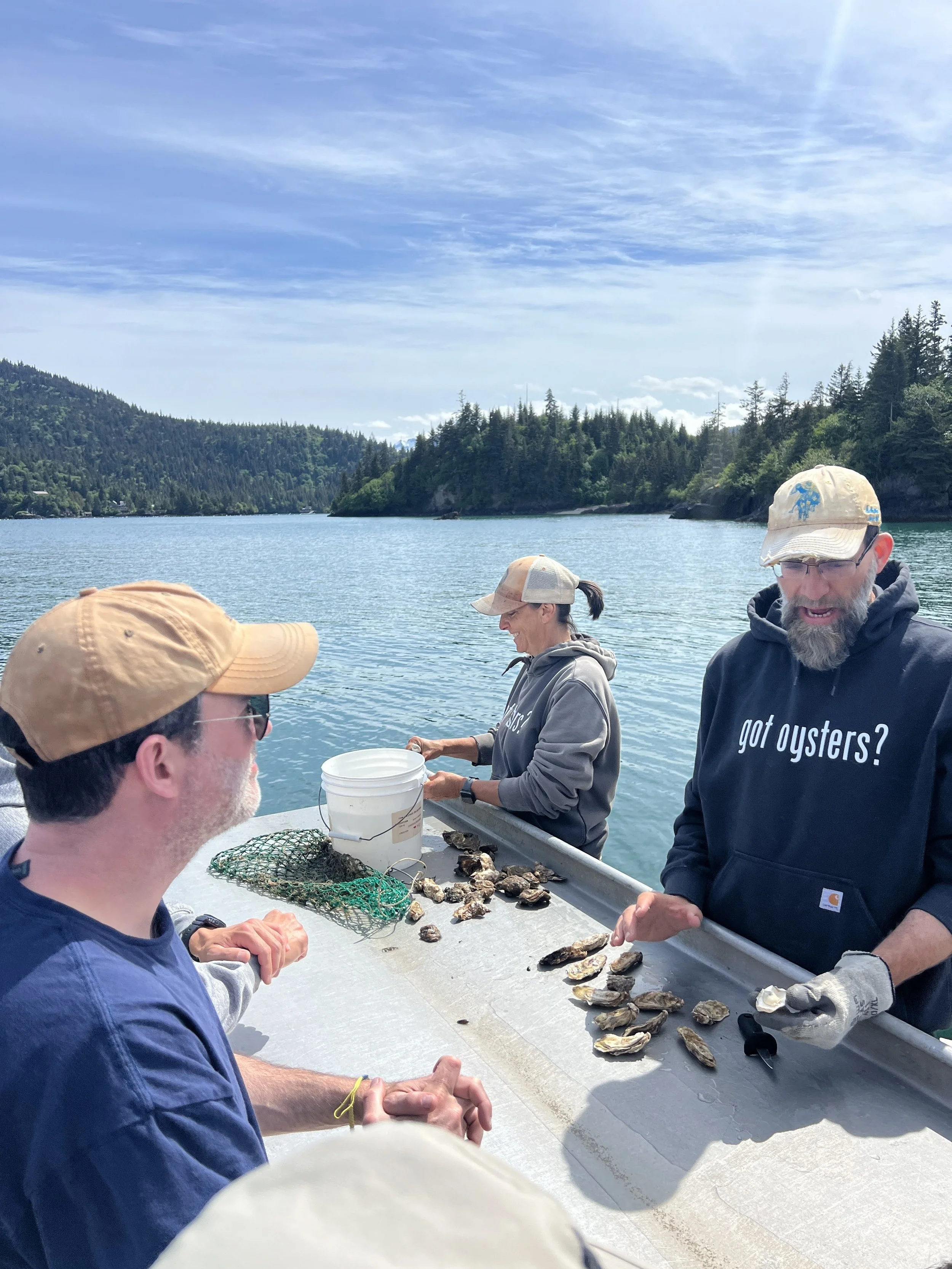2024_LO_oysters in the sun.JPG